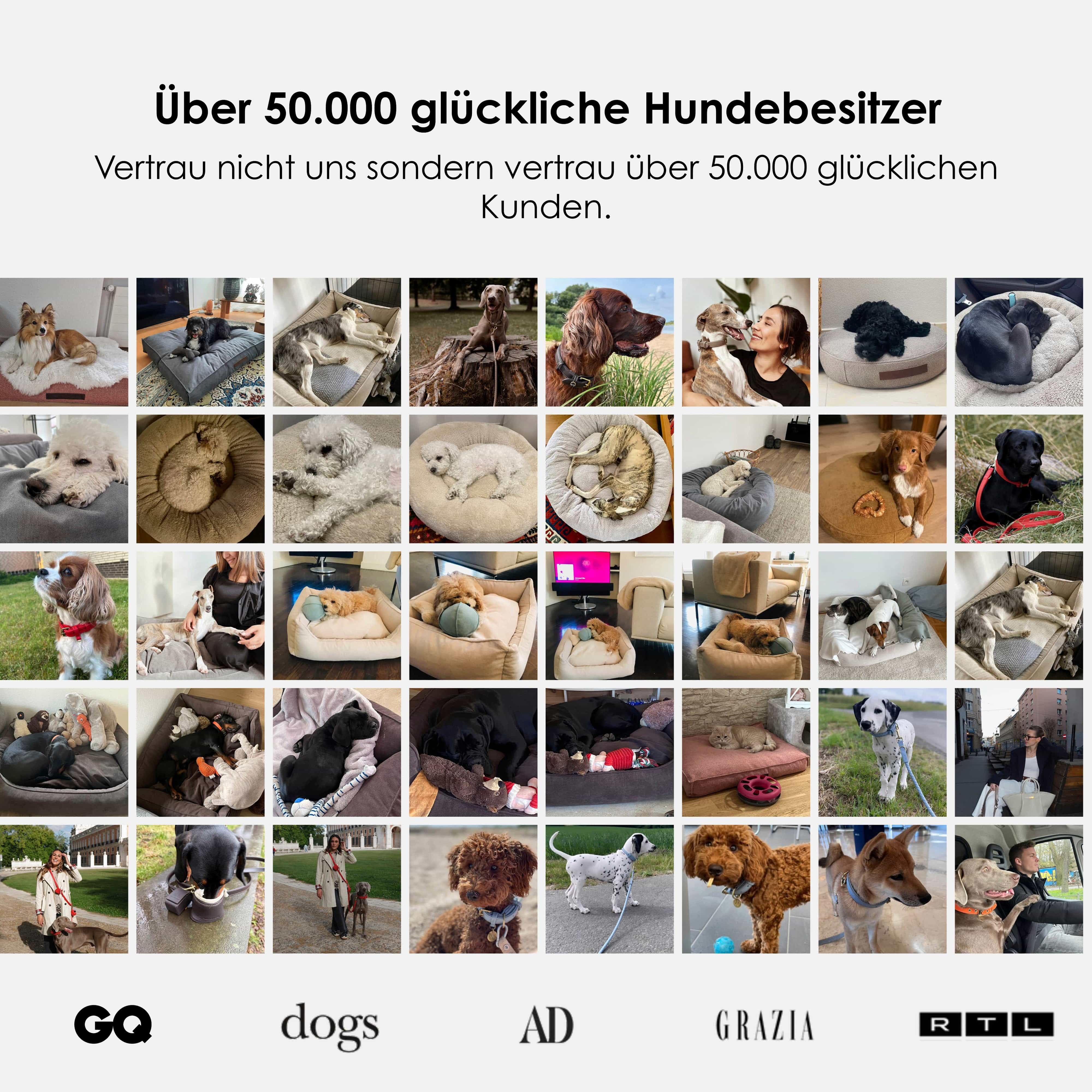 William Walker Orthopädisches Hundebett Cozy