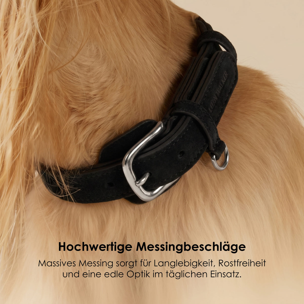 William Walker Hundehalsband aus wasserfestem Nubukleder