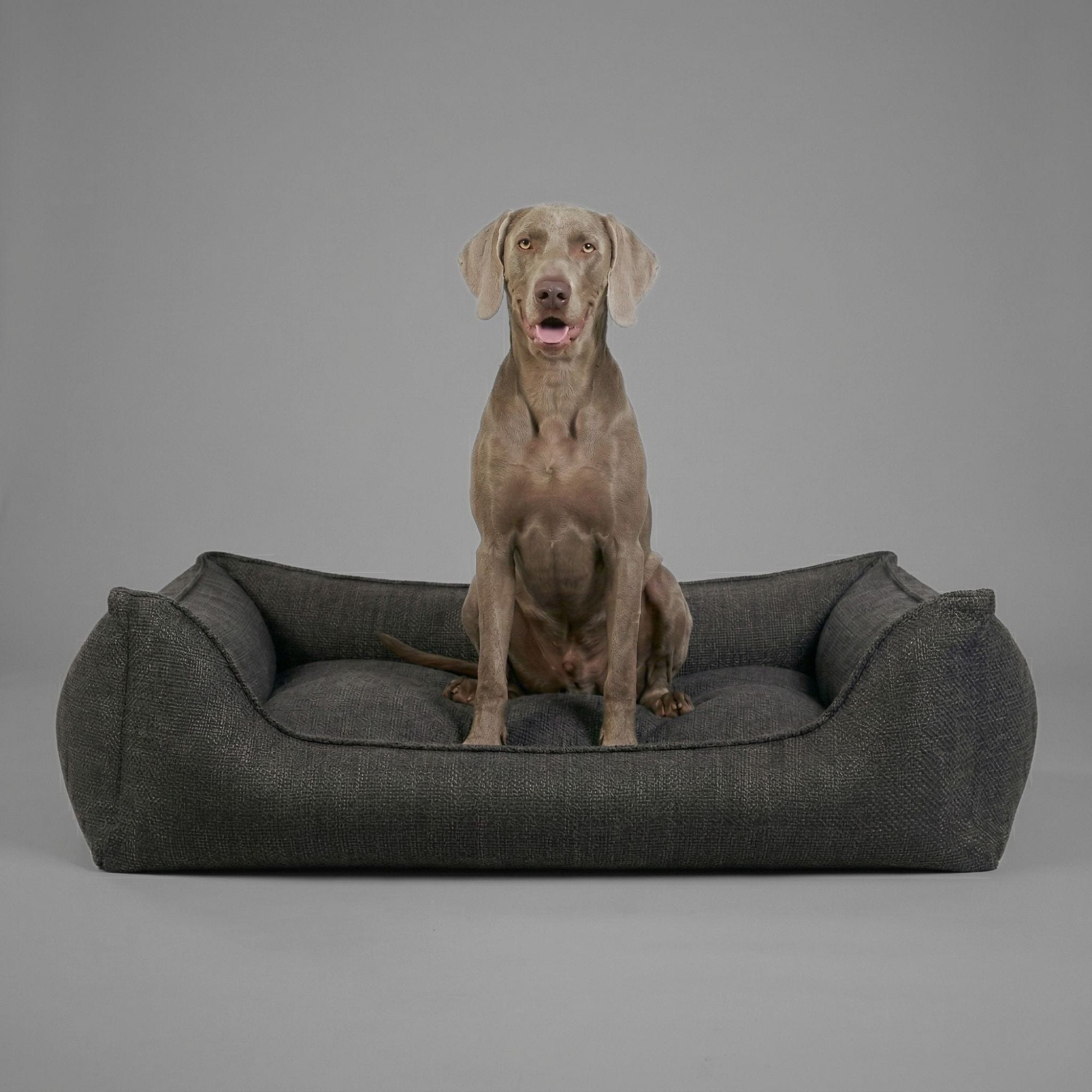 William Walker Orthopädisches Hundebett Luxe
