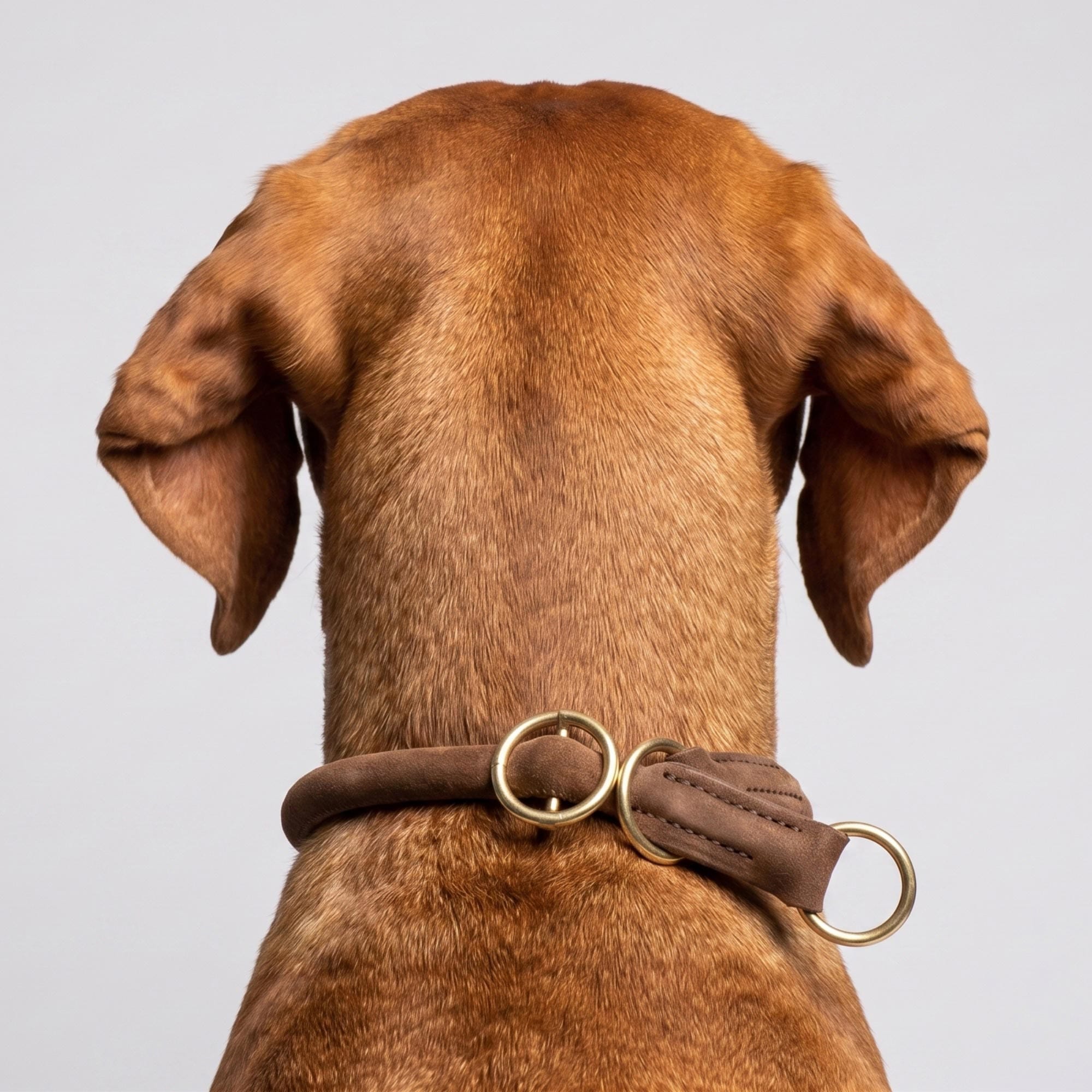 William Walker Rundes Zugstopp-Halsband aus Leder