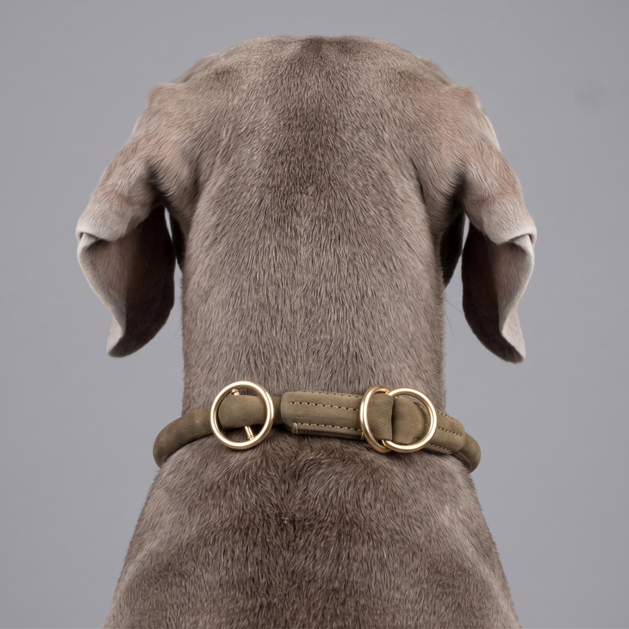 William Walker Rundes Zugstopp-Halsband aus Leder