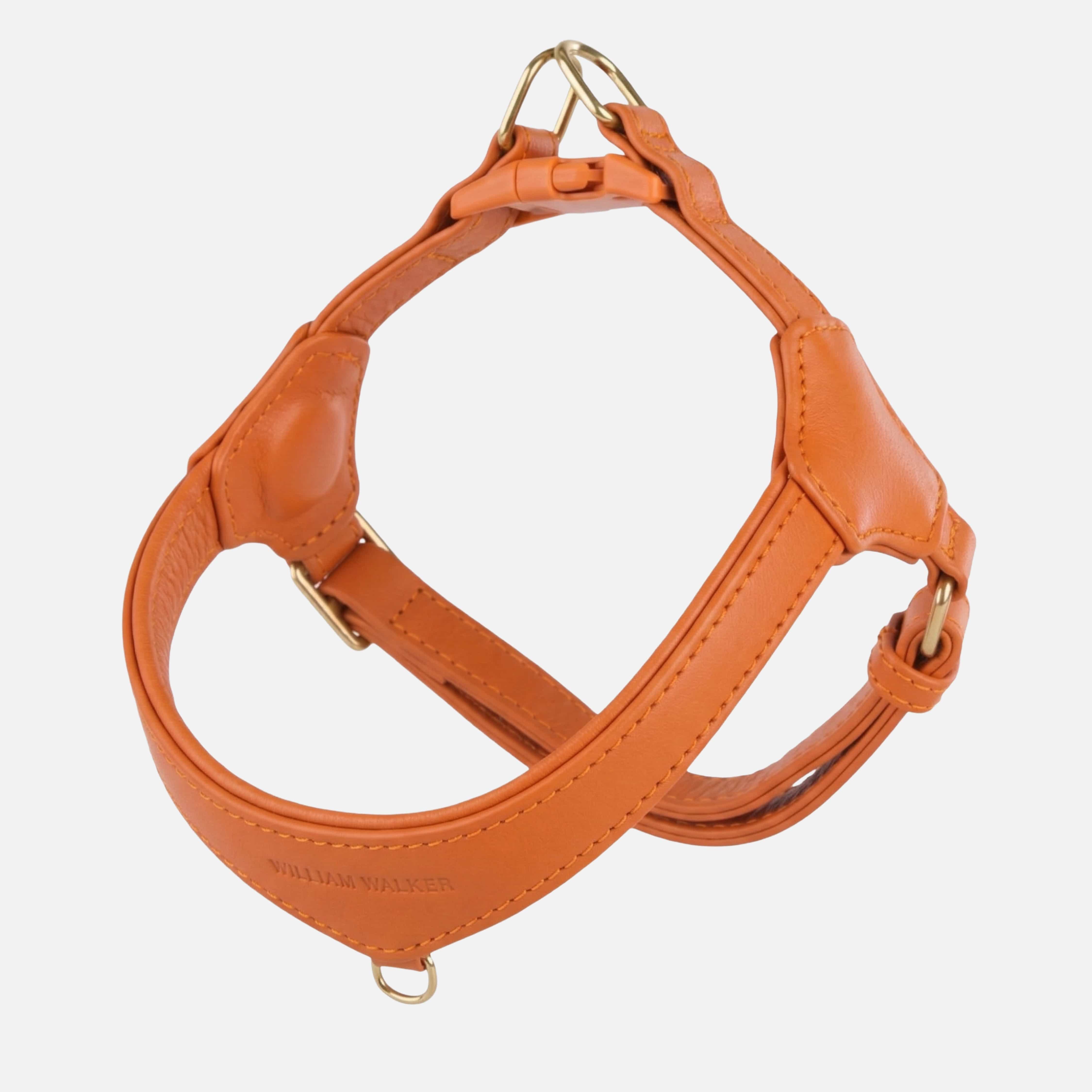 William Walker Step-In Leder Geschirr Pico für kleine Hunde Amber (orange) / 1