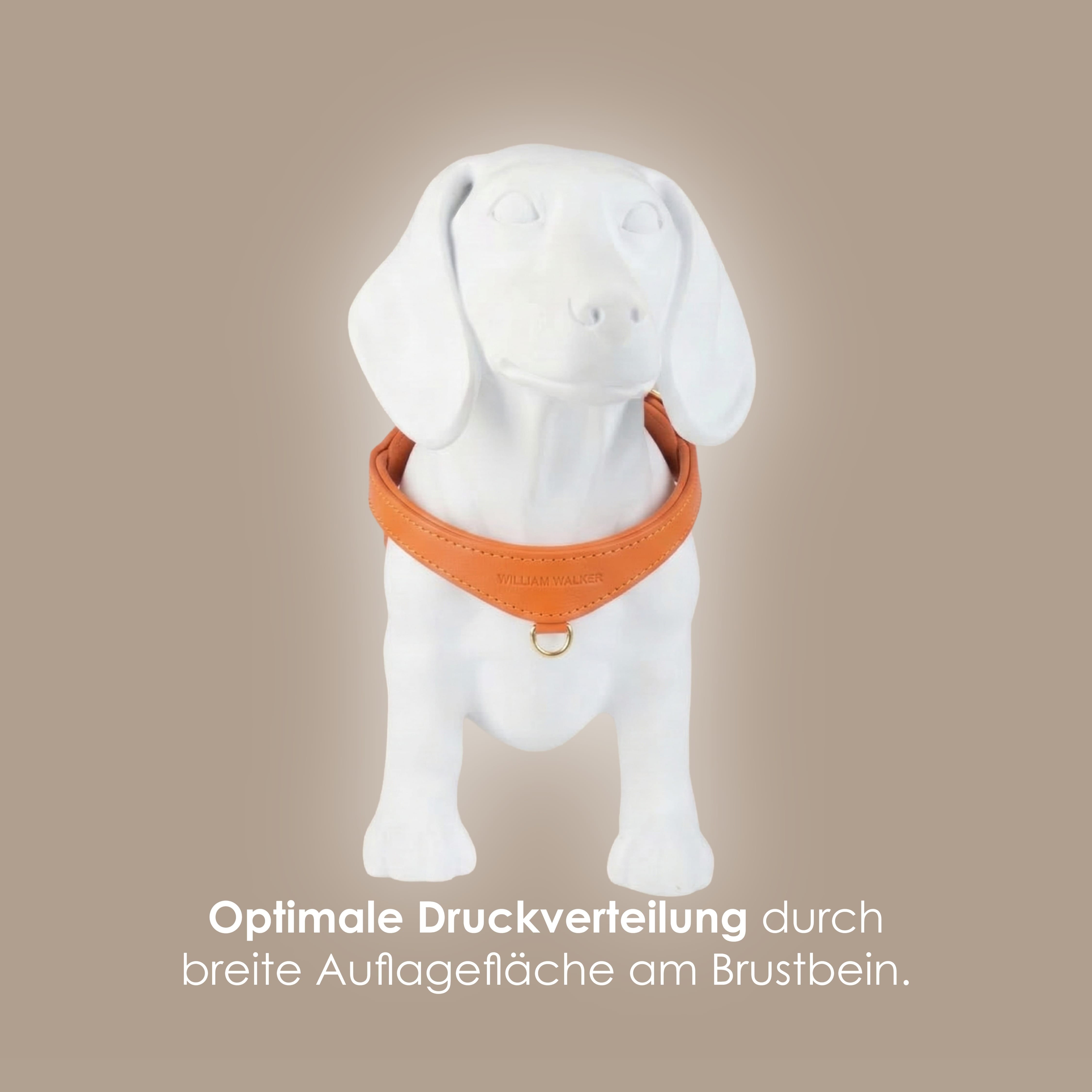 William Walker Step-In Leder Geschirr Pico für kleine Hunde