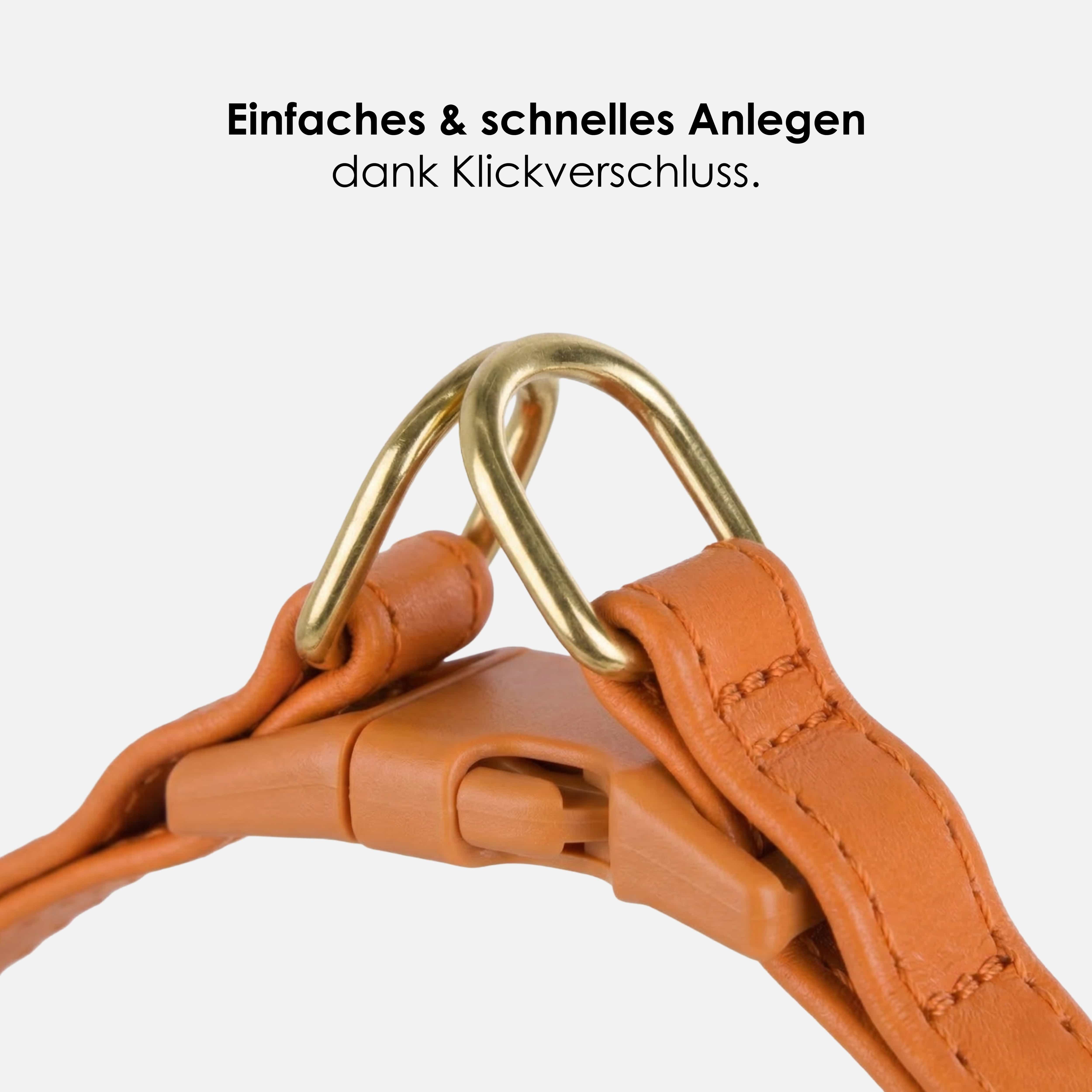 William Walker Step-In Leder Geschirr Pico für kleine Hunde