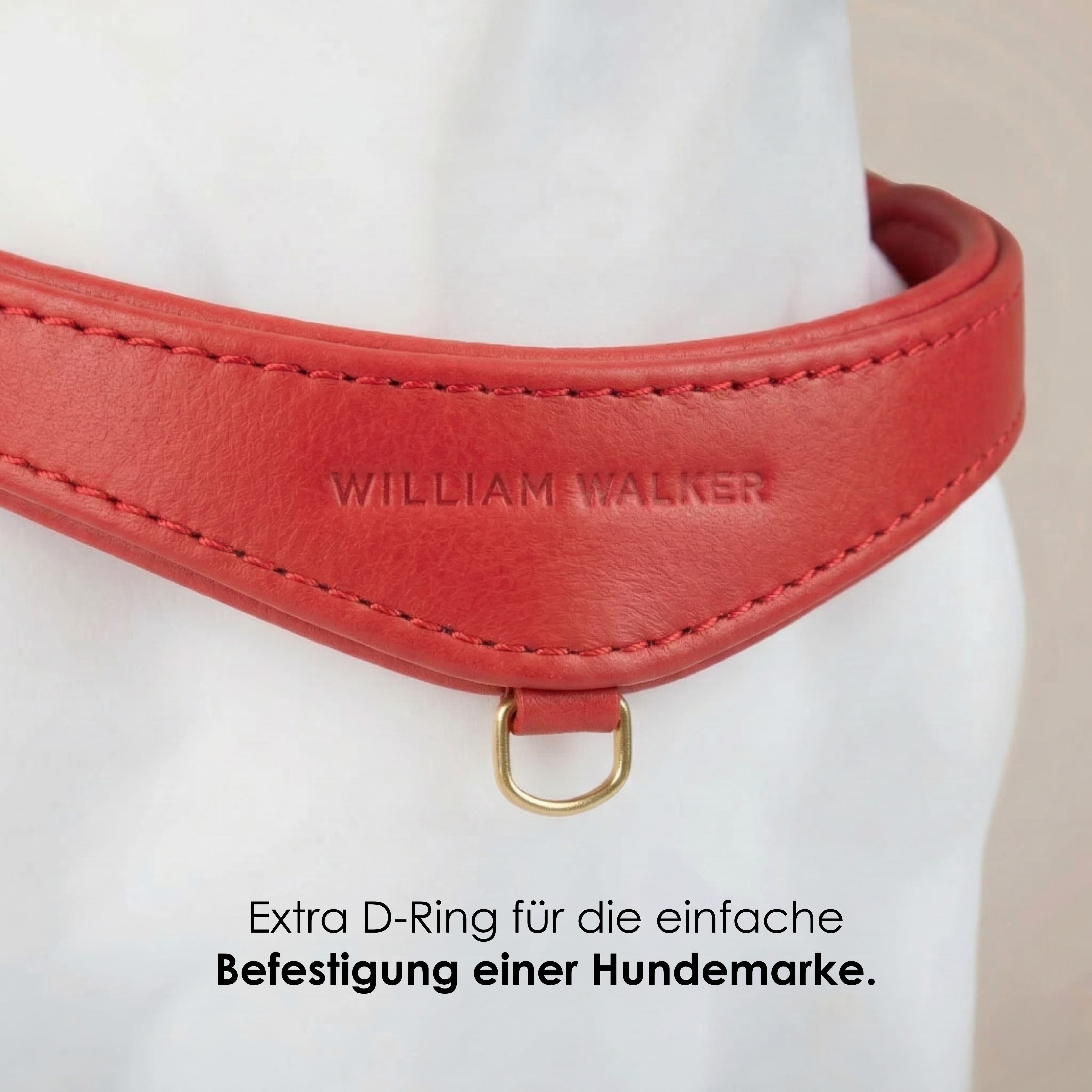 William Walker Step-In Leder Geschirr Pico für kleine Hunde