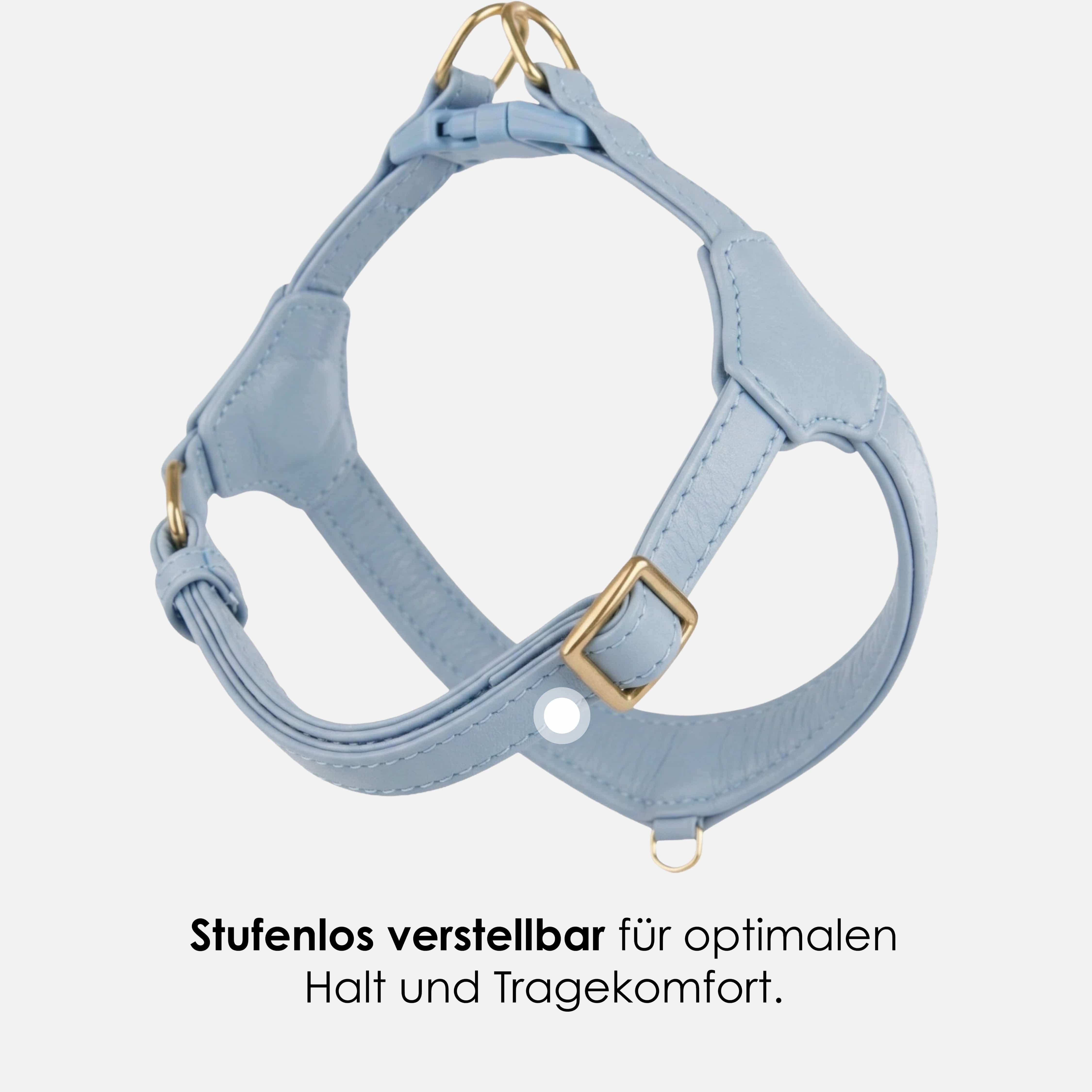 William Walker Step-In Leder Geschirr Pico für kleine Hunde
