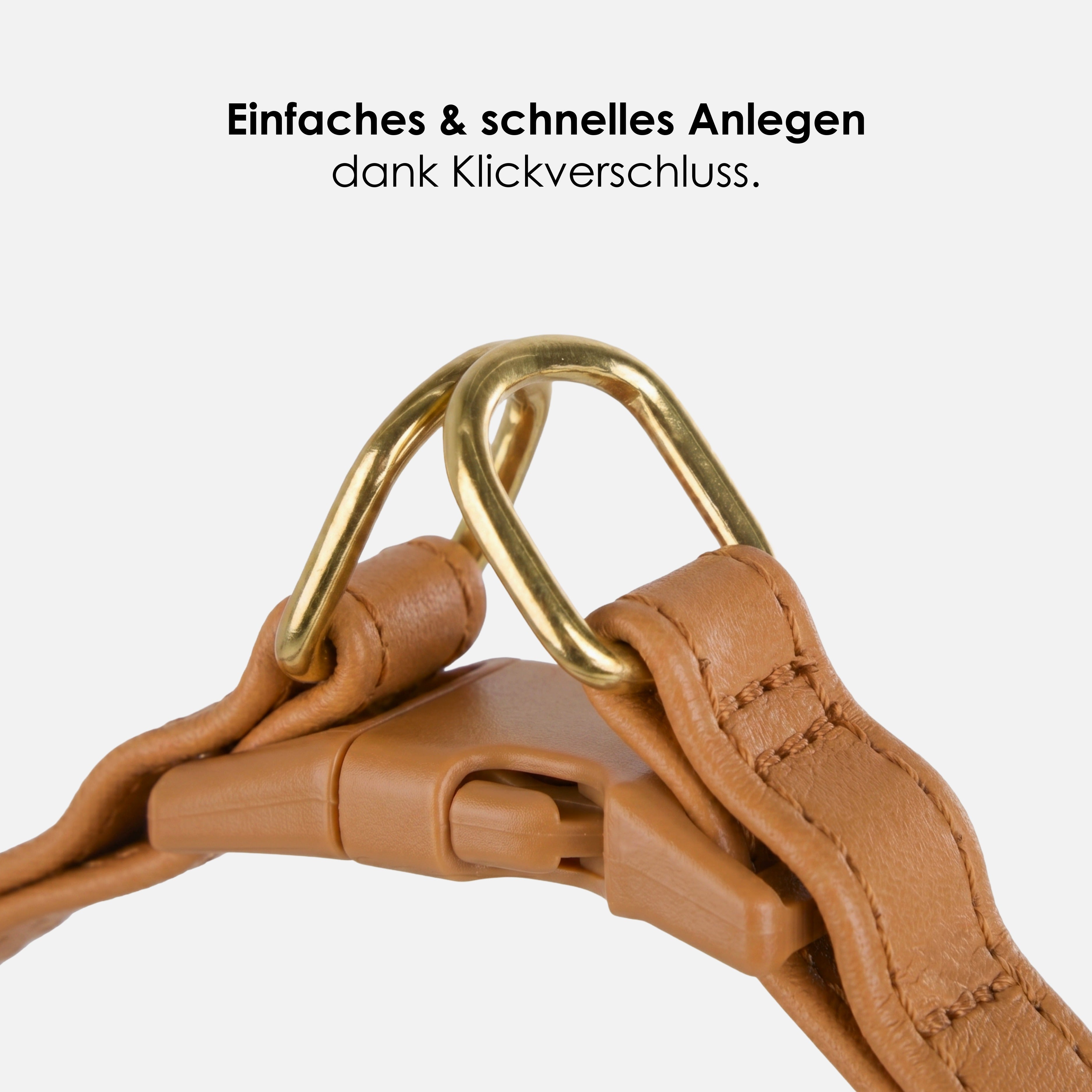 William Walker Step-In Leder Geschirr Pico für kleine Hunde