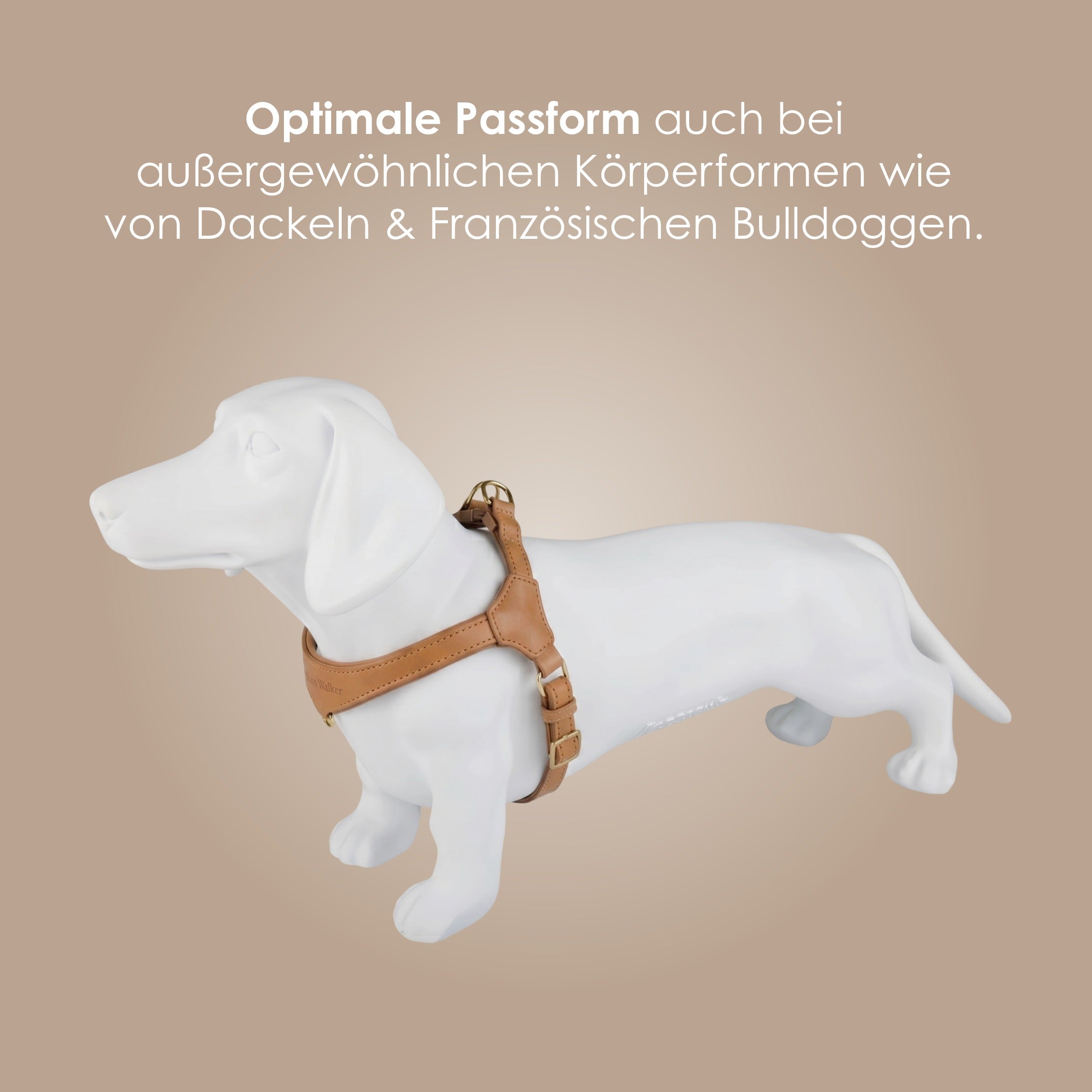 William Walker Step-In Leder Geschirr Pico für kleine Hunde