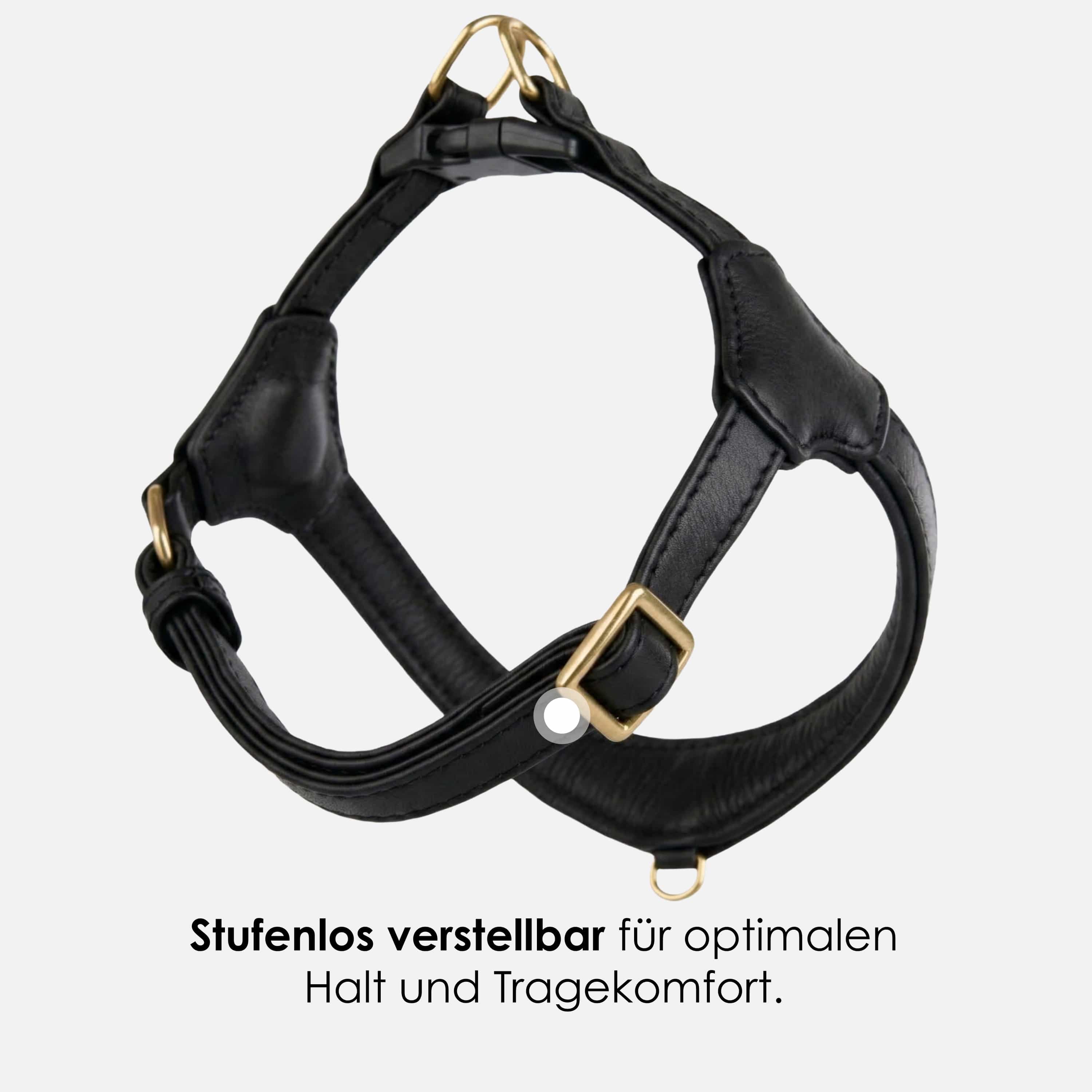 William Walker Step-In Leder Geschirr Pico für kleine Hunde