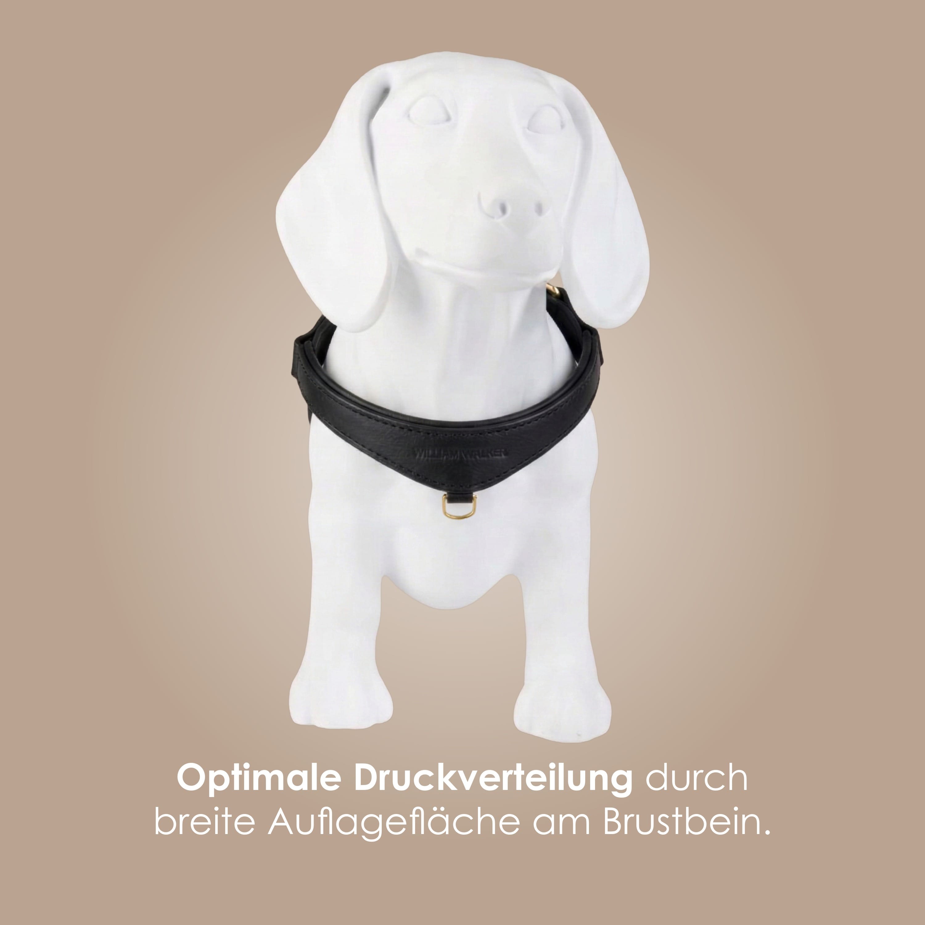William Walker Step-In Leder Geschirr Pico für kleine Hunde