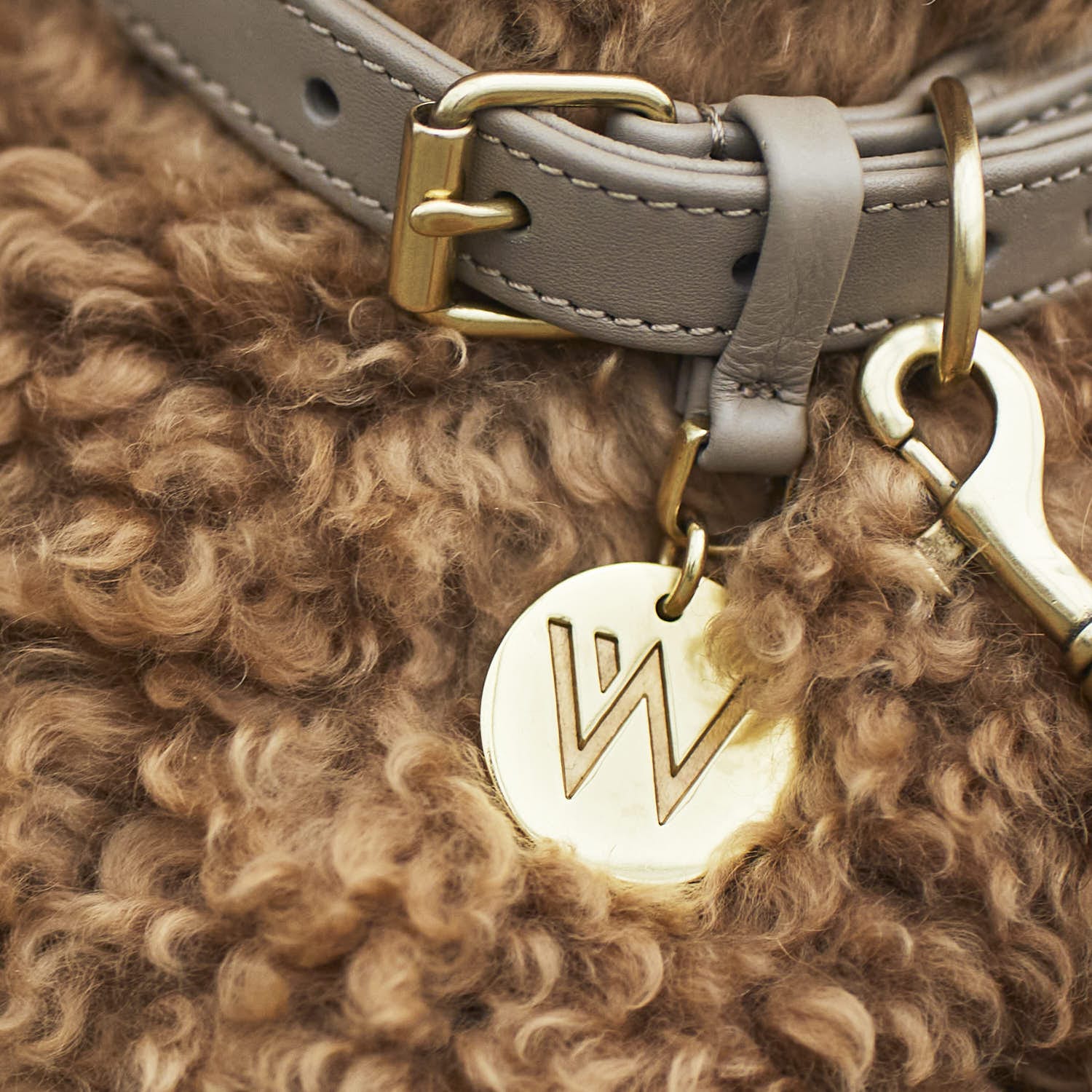 William Walker Hundehalsband Twisted Sand