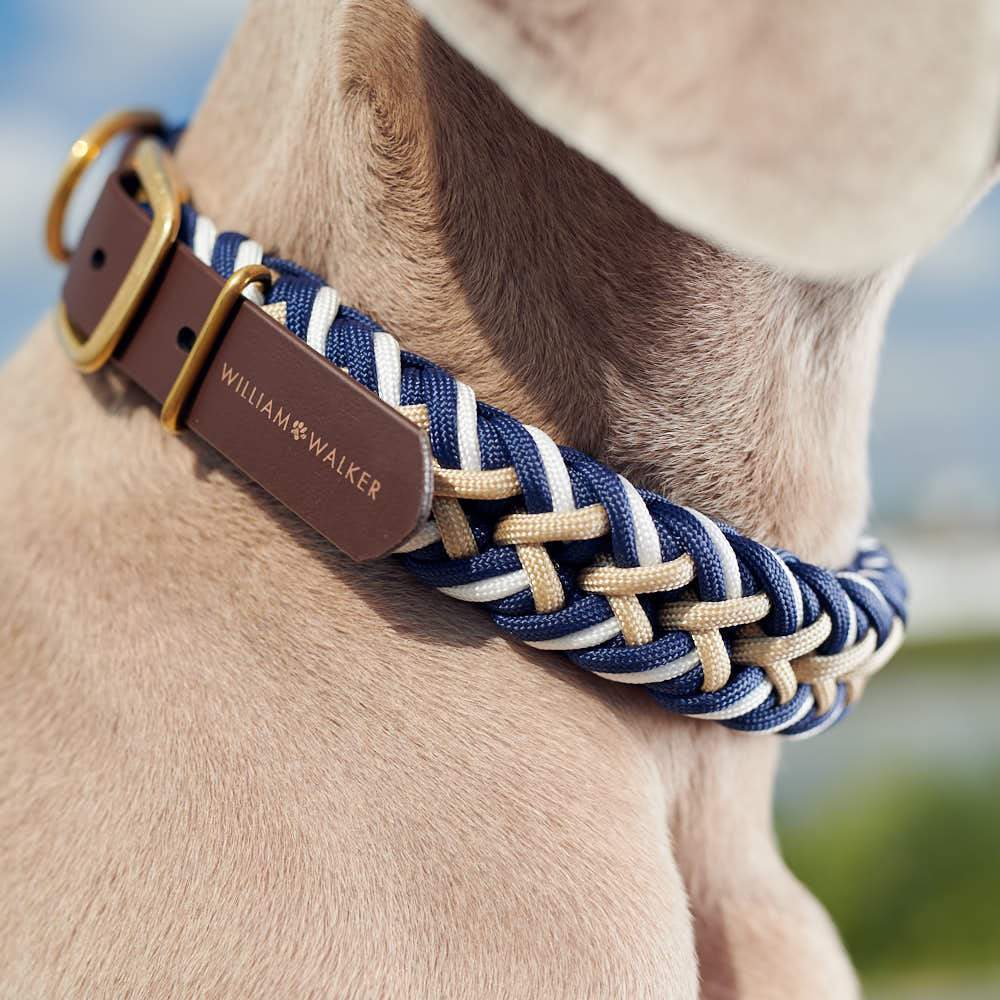 Paracord BioThane® Hundehalsband Hanseatic