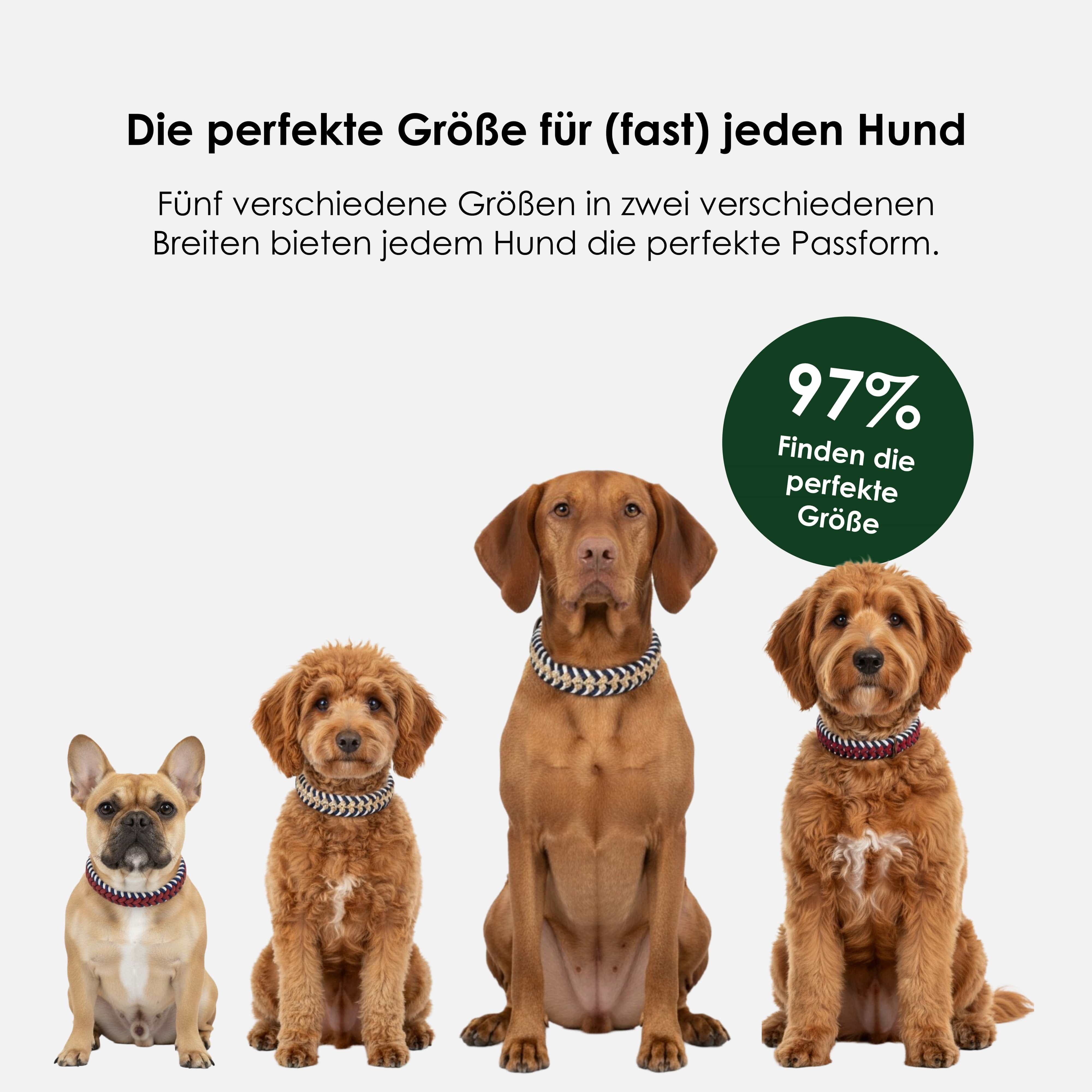 William Walker Paracord BioThane® Hundehalsband Royal // Limited