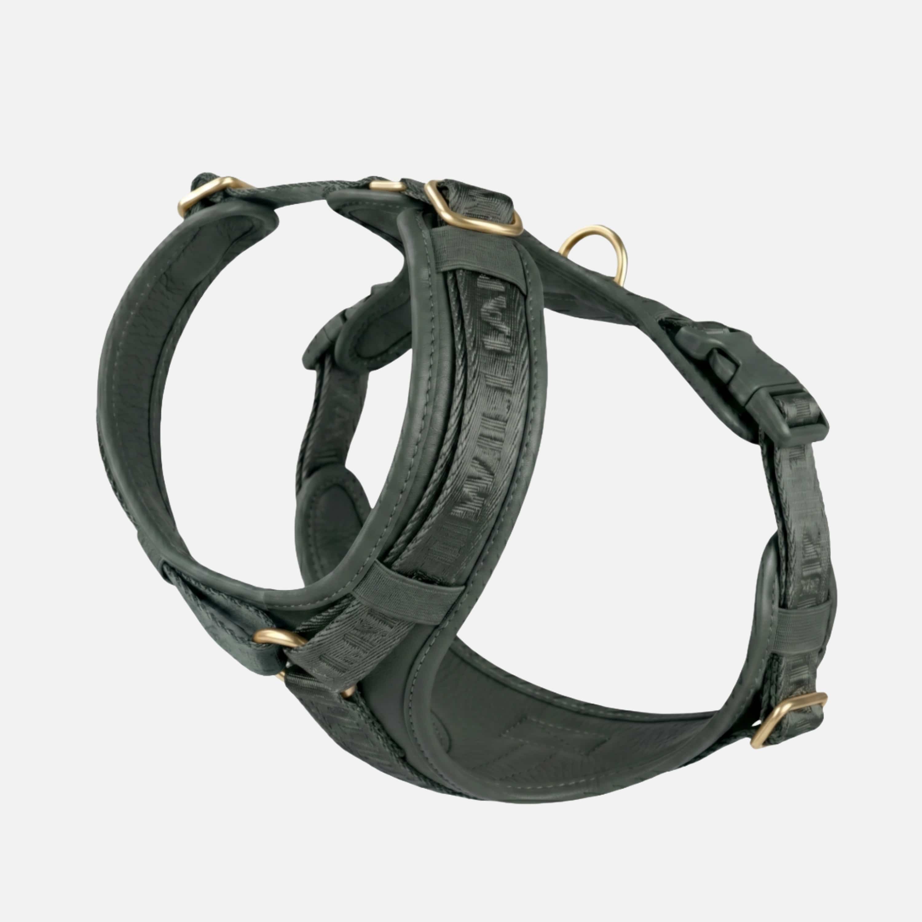 William Walker Hochwertiges Leder Y-Hundegeschirr Plain Dark Moss (Dunkelgrün) / XS