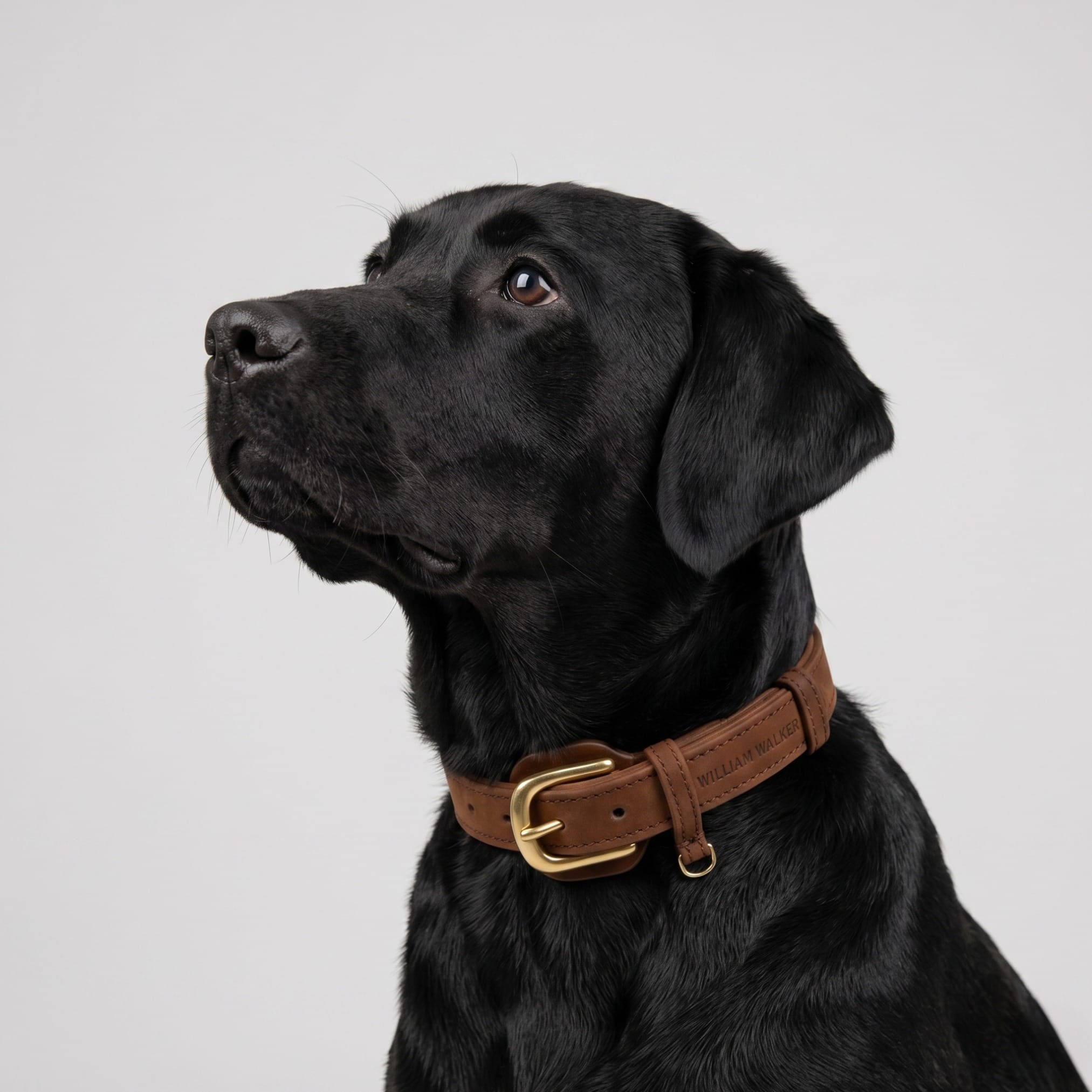 William Walker Hundehalsband aus wasserfestem Nubukleder