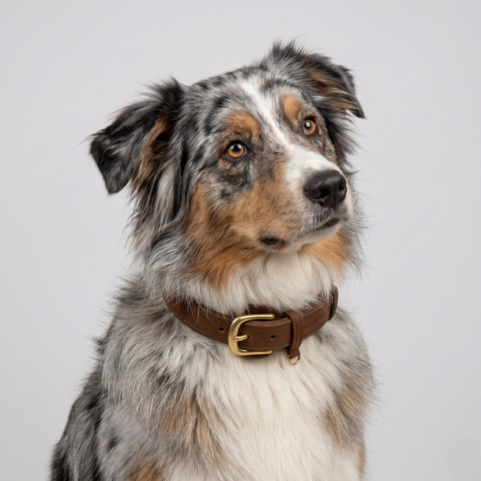 William Walker Hundehalsband aus wasserfestem Nubukleder