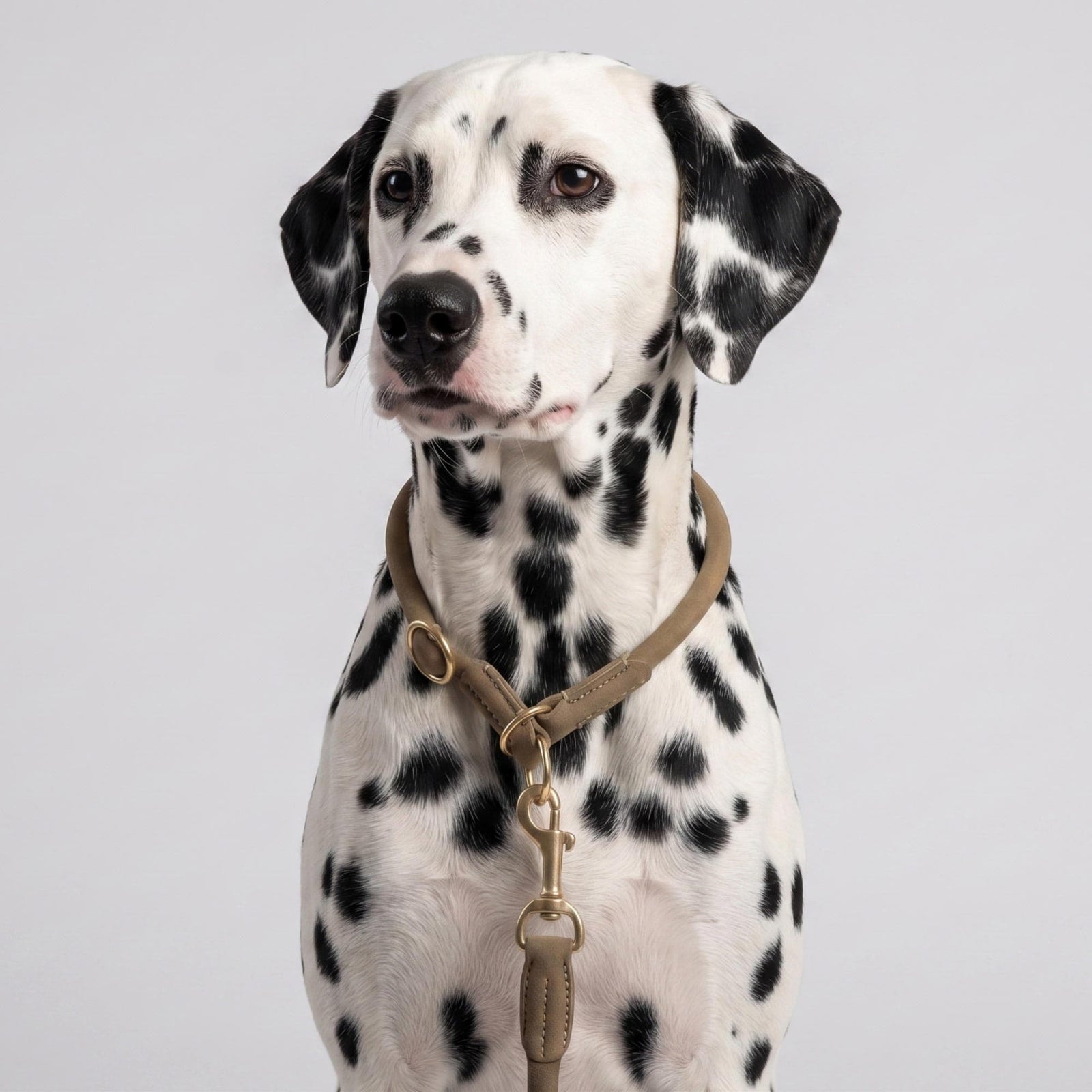 William Walker Rundes Zugstopp-Halsband aus Leder