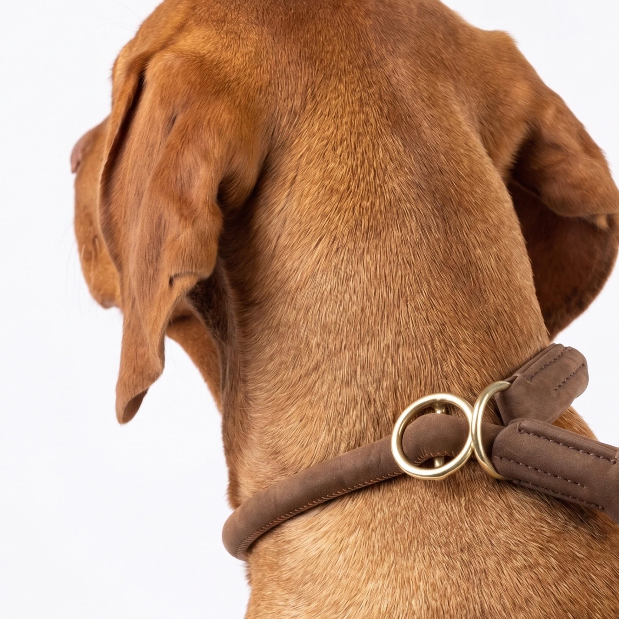William Walker Rundes Zugstopp-Halsband aus Leder