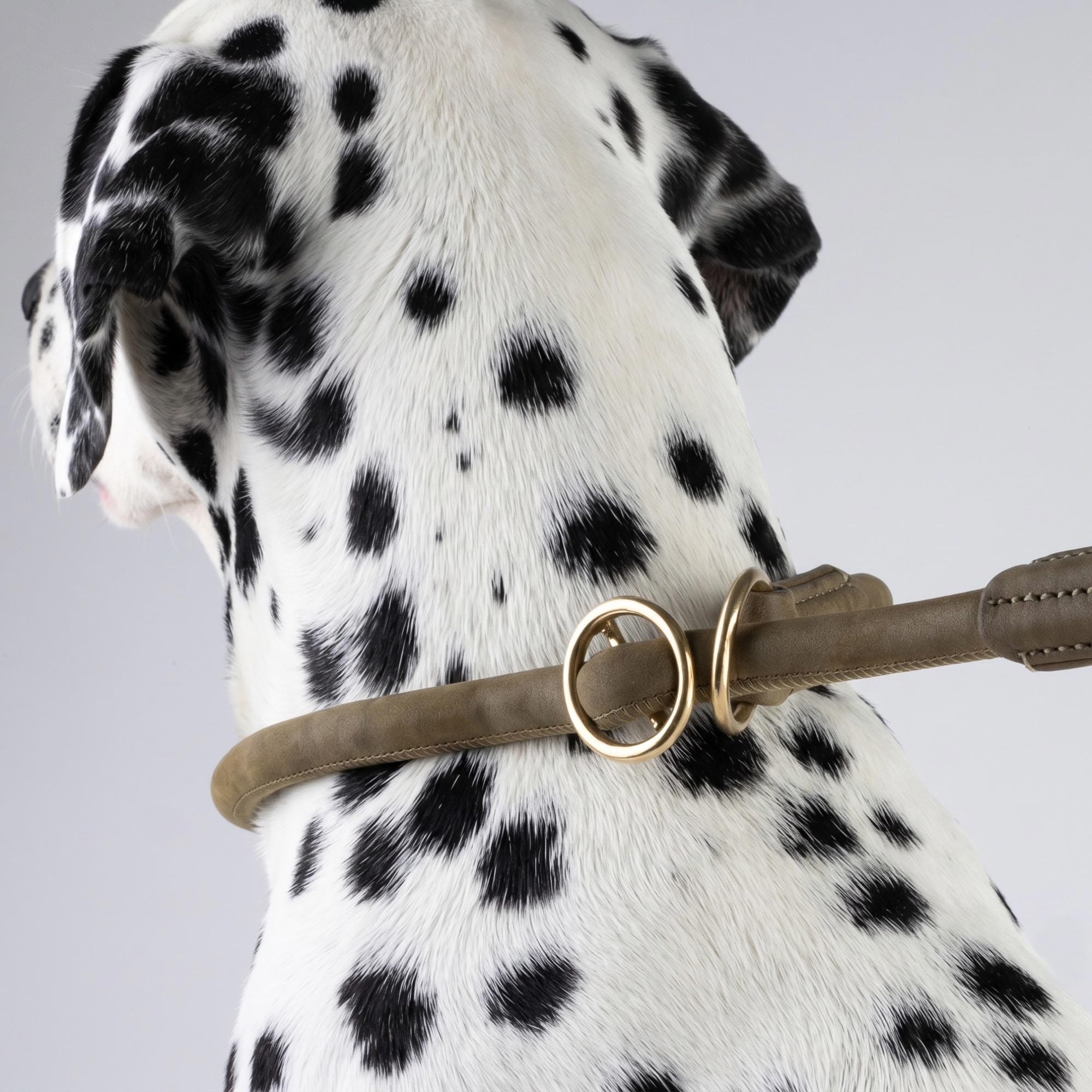William Walker Rundes Zugstopp-Halsband aus Leder