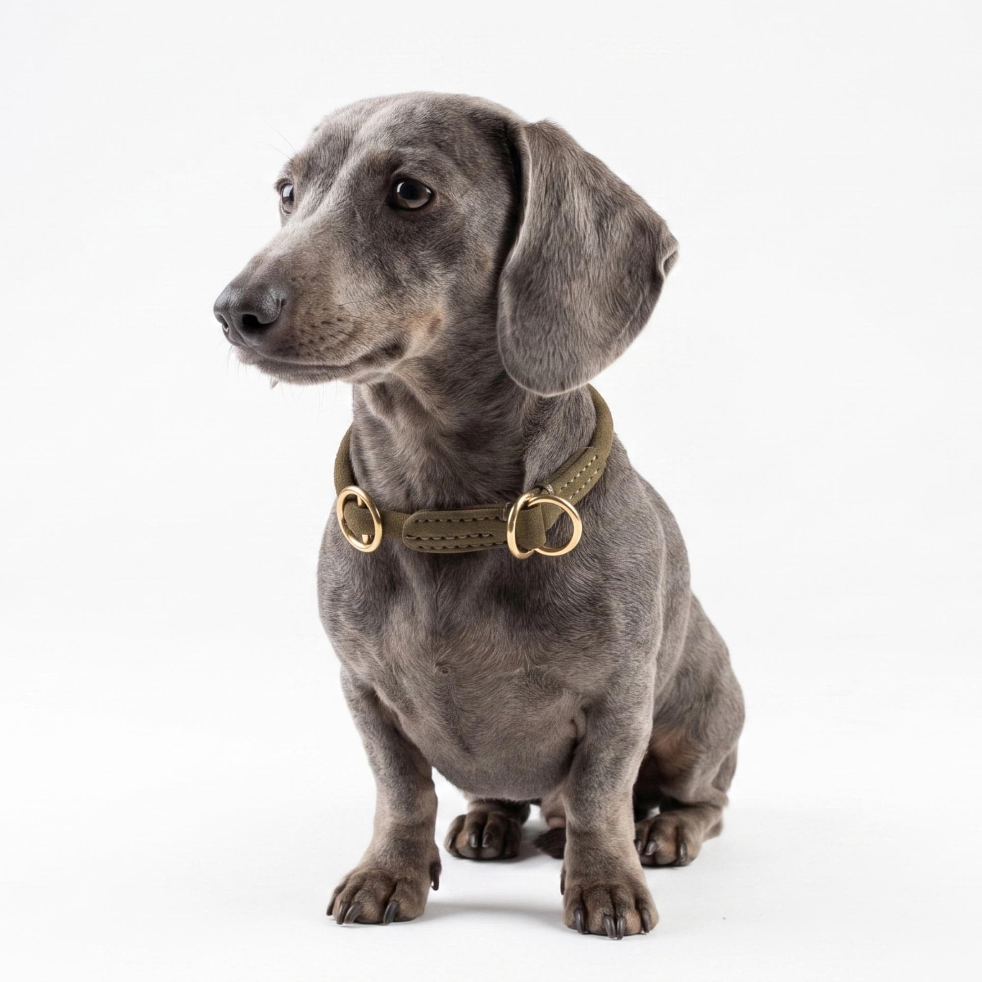 William Walker Rundes Zugstopp-Halsband aus Leder