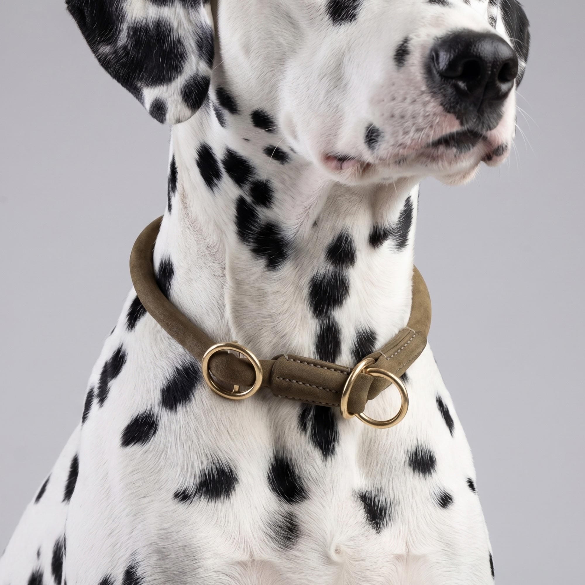 William Walker Rundes Zugstopp-Halsband aus Leder