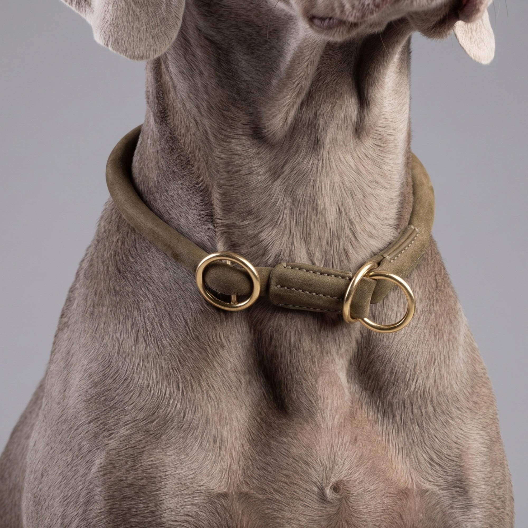 William Walker Rundes Zugstopp-Halsband aus Leder