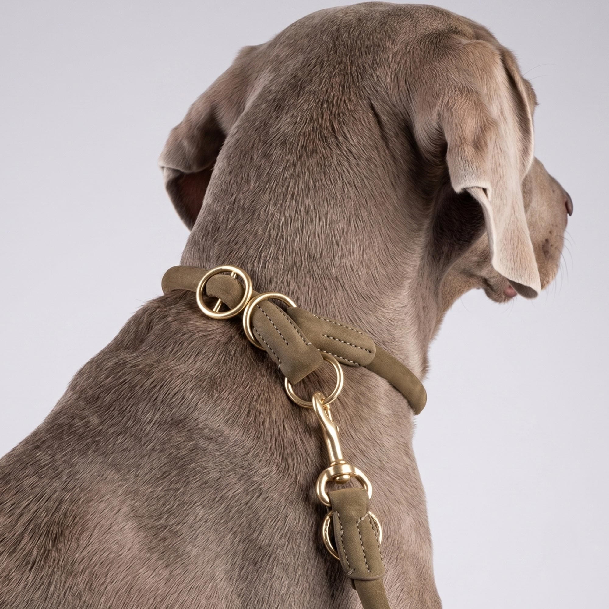 William Walker Rundes Zugstopp-Halsband aus Leder