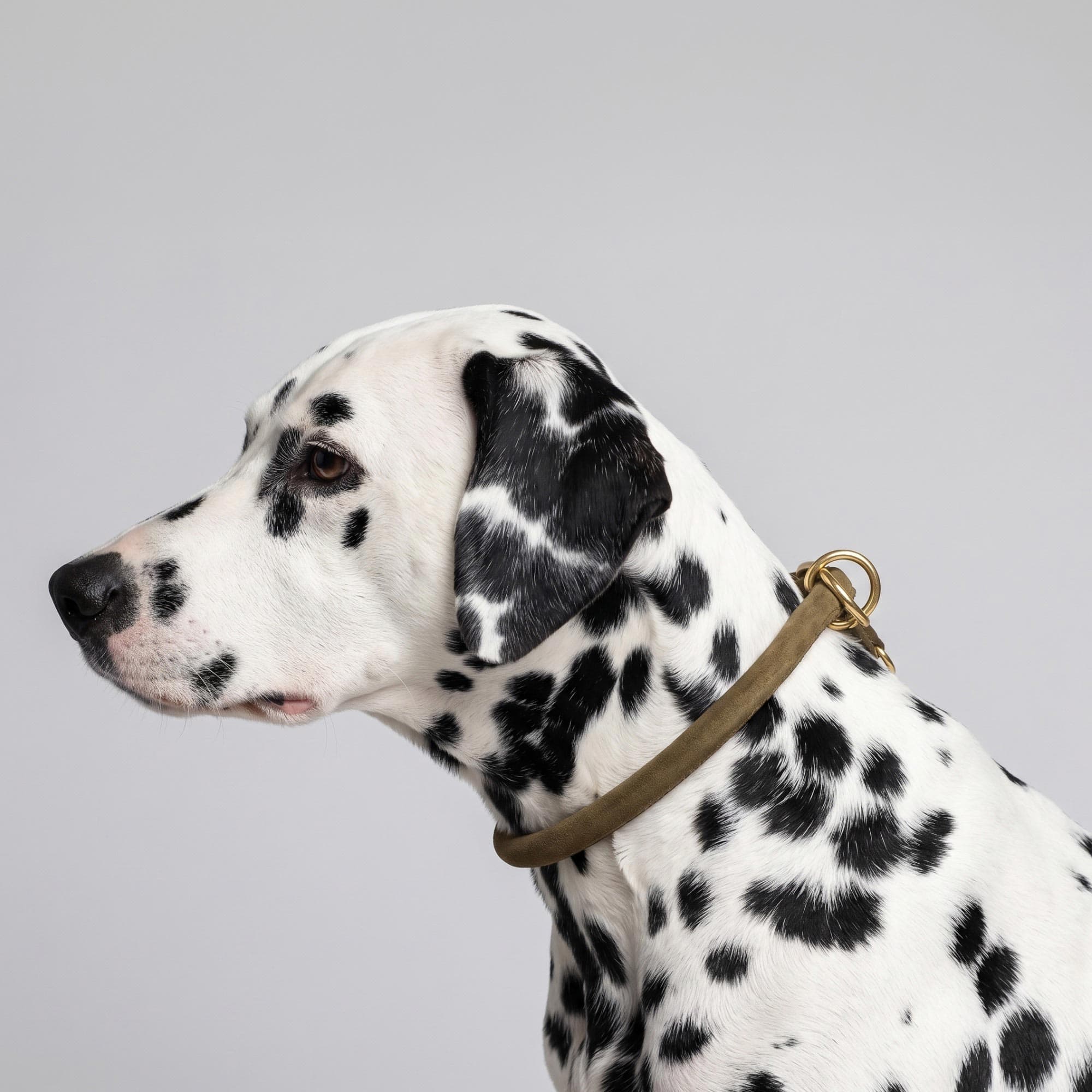 William Walker Rundes Zugstopp-Halsband aus Leder