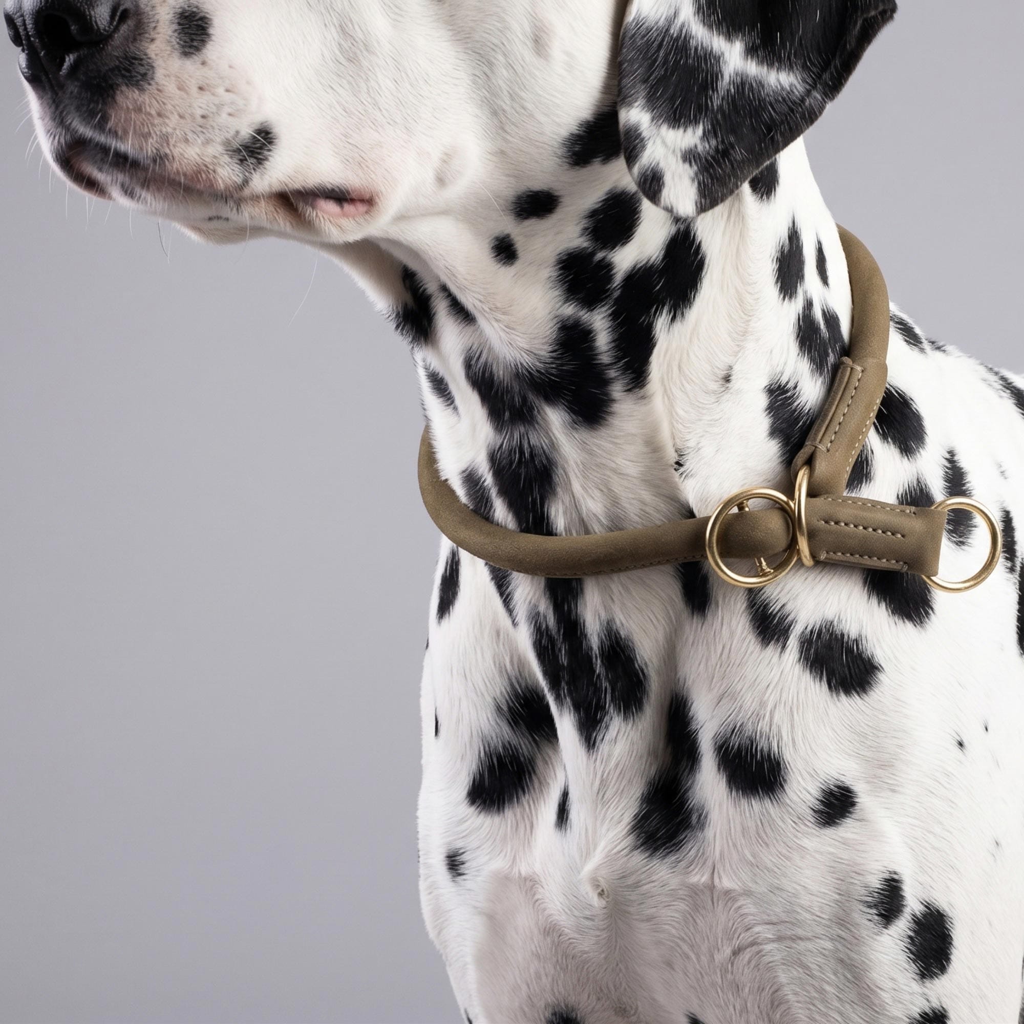 William Walker Rundes Zugstopp-Halsband aus Leder