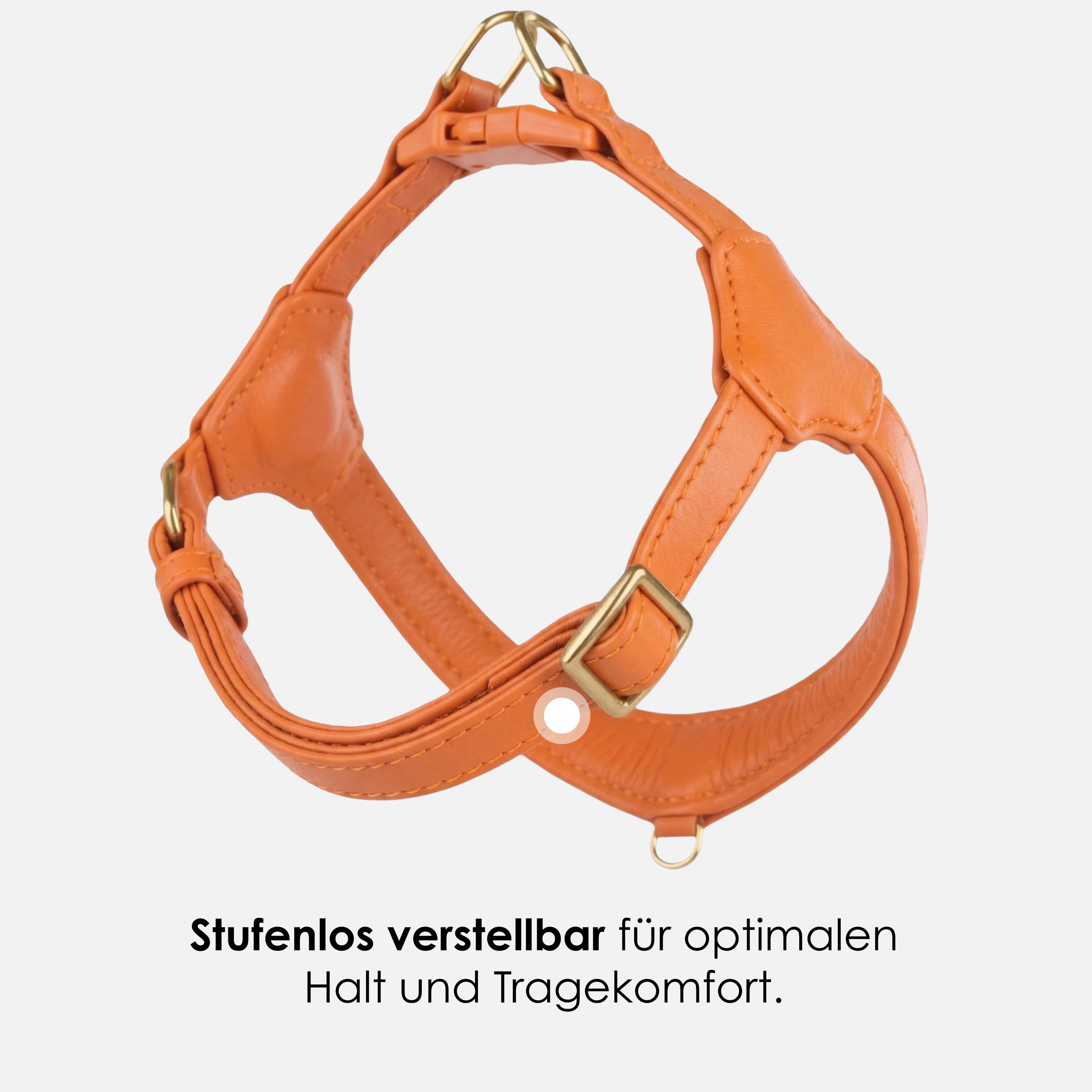 William Walker Step-In Leder Geschirr Pico für kleine Hunde