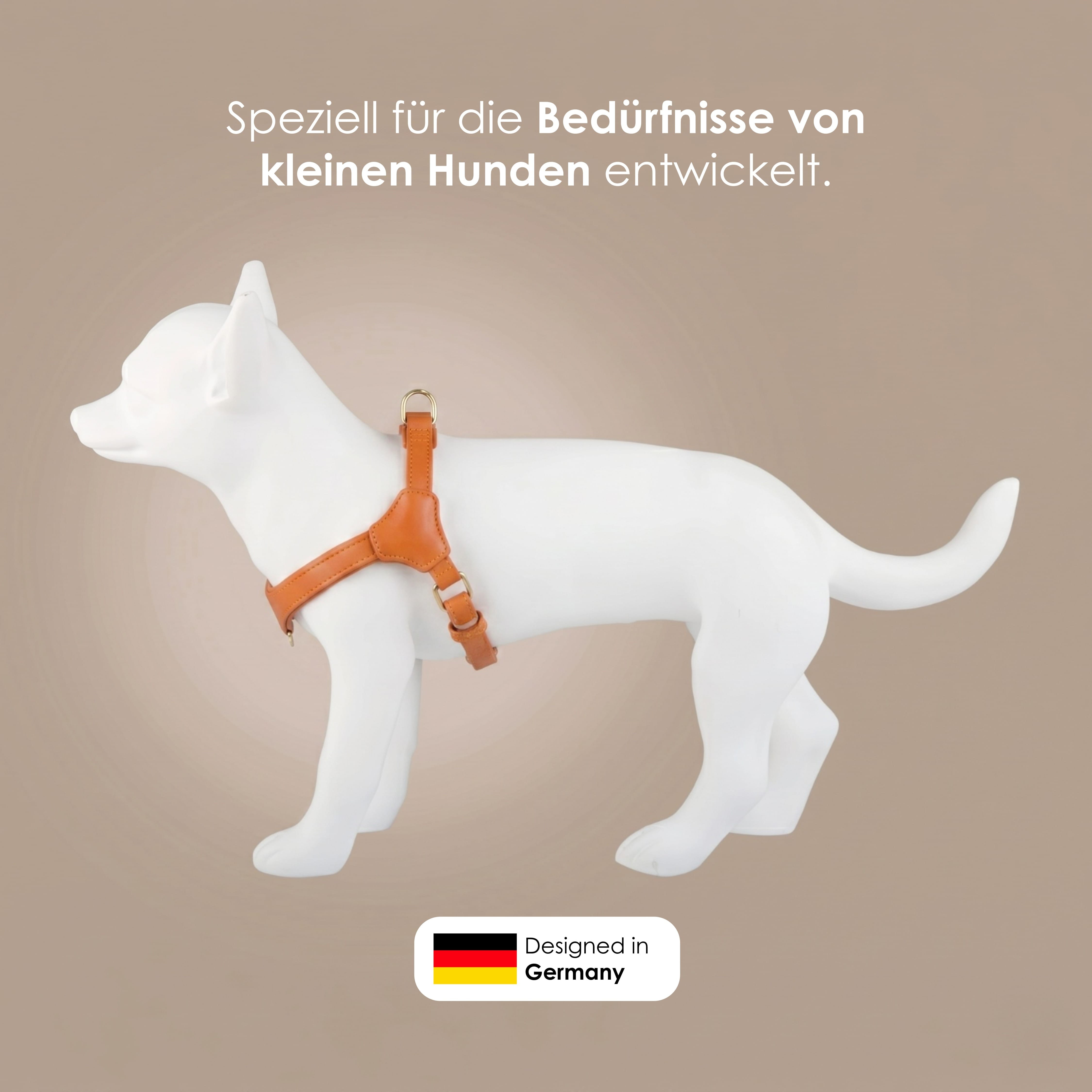 William Walker Step-In Leder Geschirr Pico für kleine Hunde