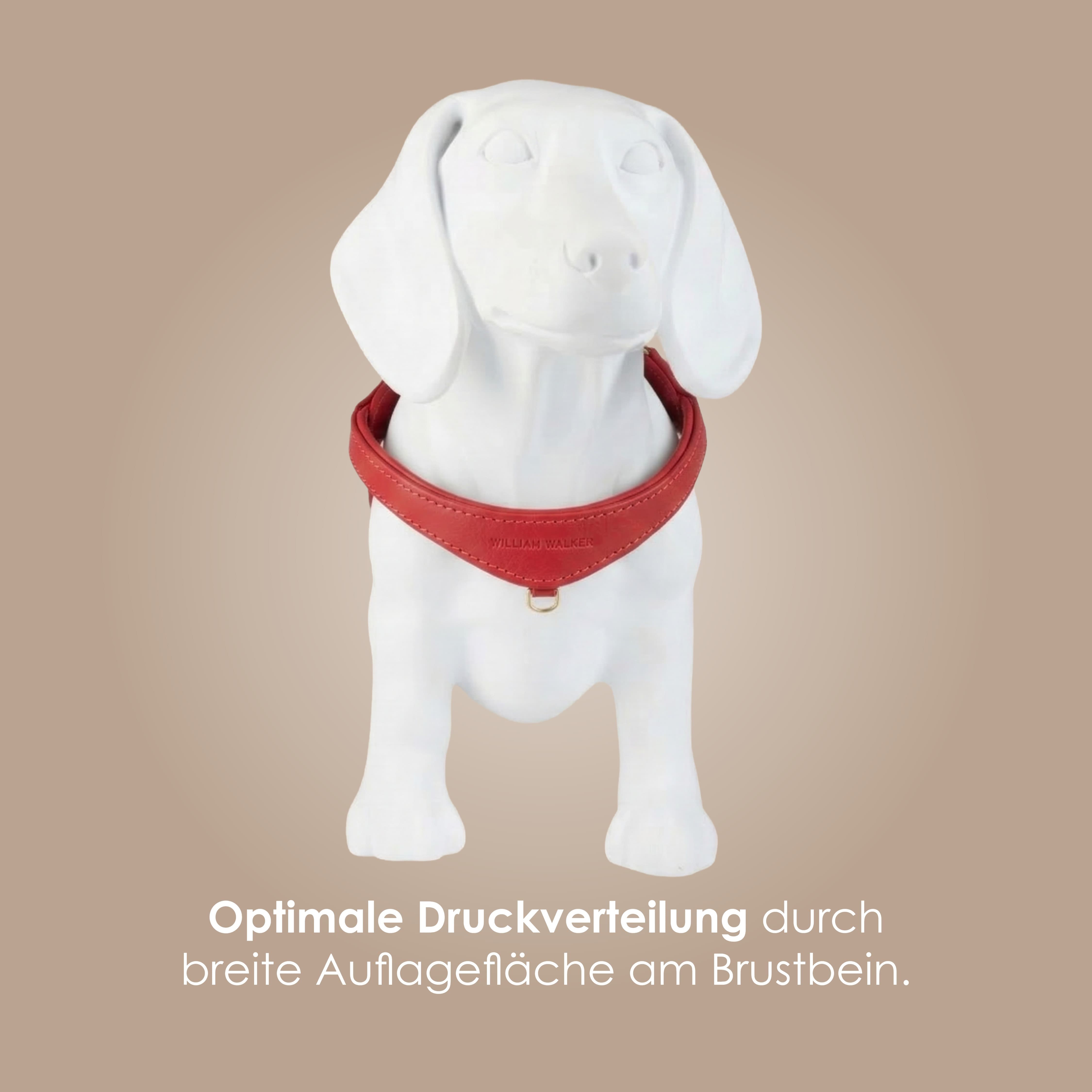 William Walker Step-In Leder Geschirr Pico für kleine Hunde