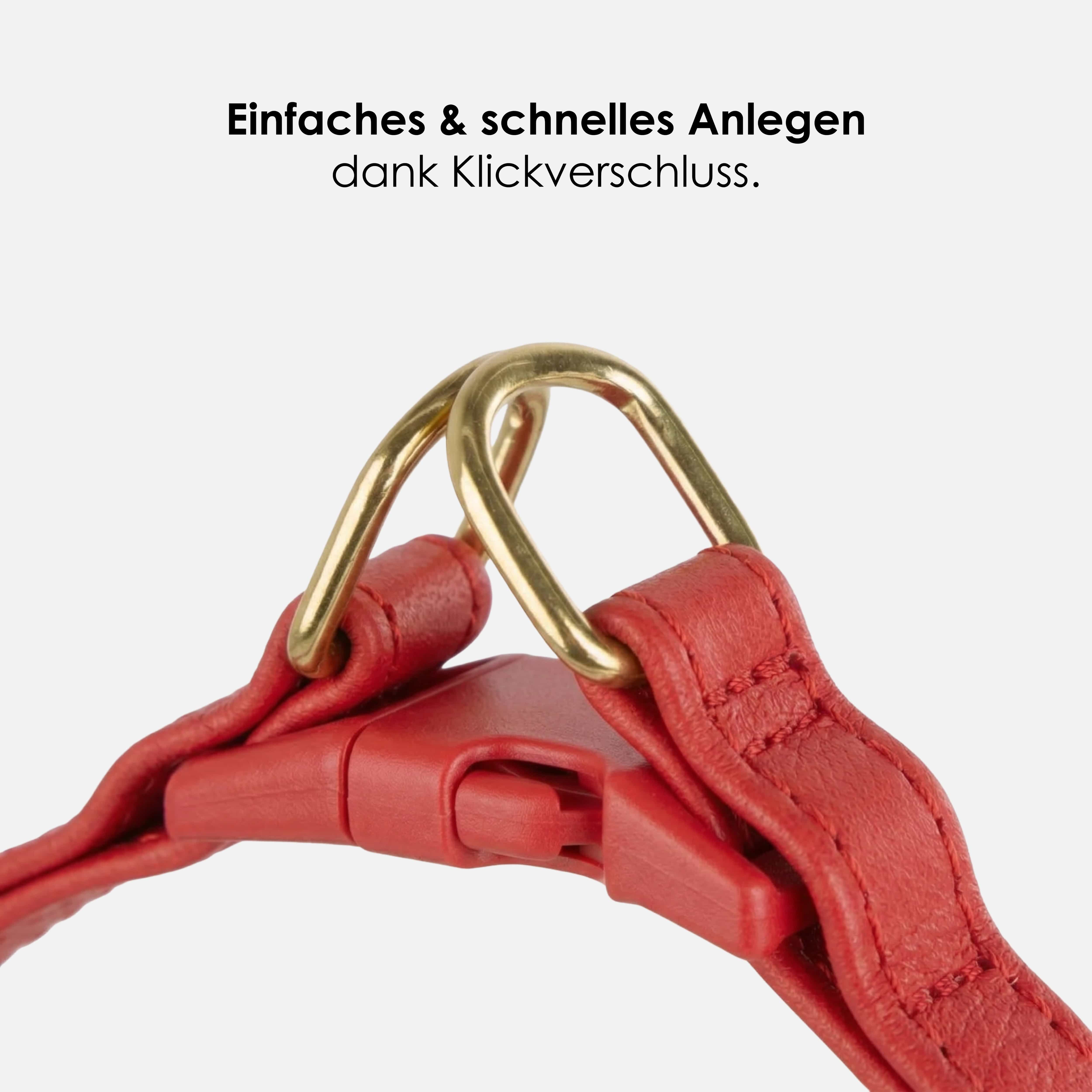 William Walker Step-In Leder Geschirr Pico für kleine Hunde