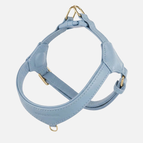 William Walker Step-In Leder Geschirr Pico für kleine Hunde Sky (hellblau) / 1