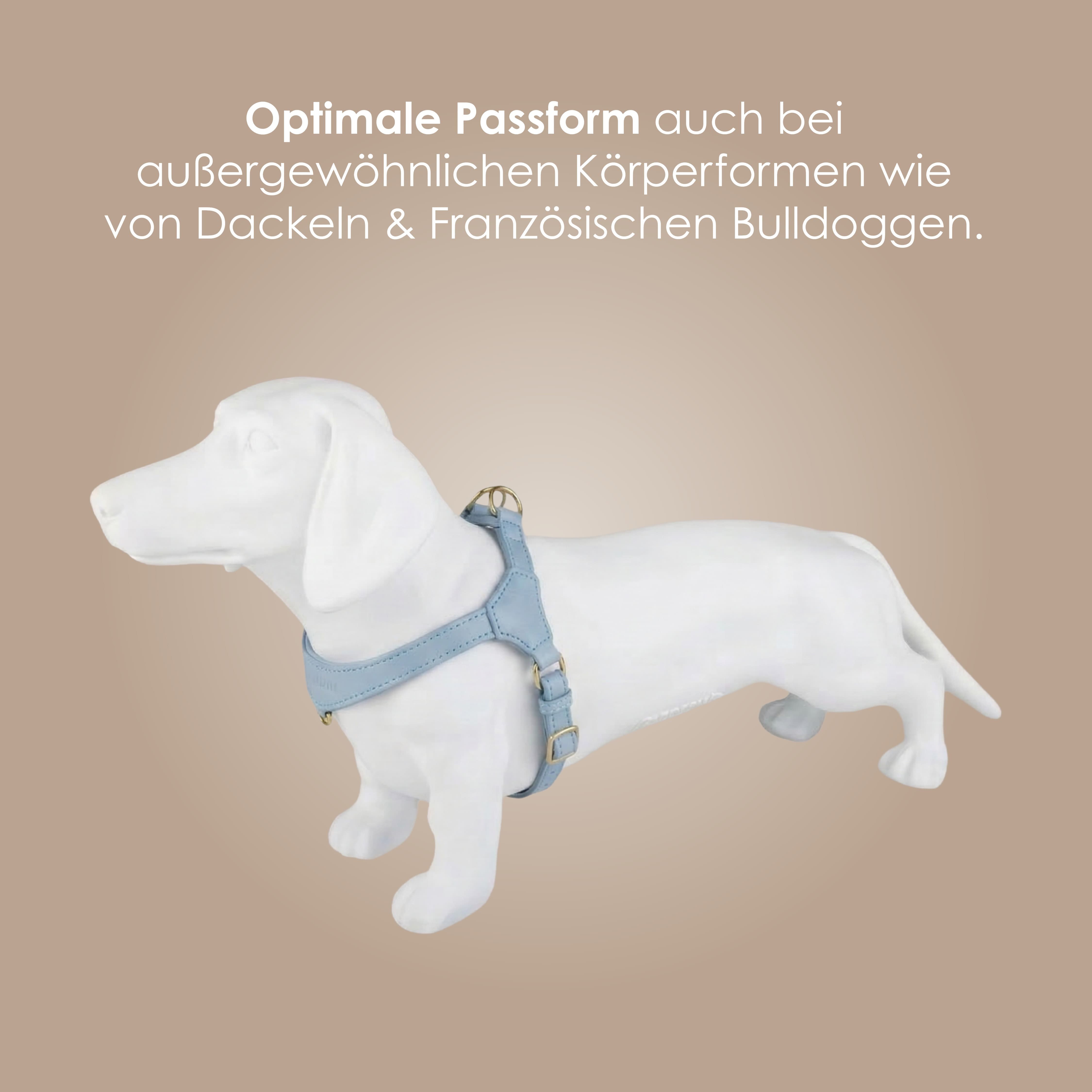 William Walker Step-In Leder Geschirr Pico für kleine Hunde