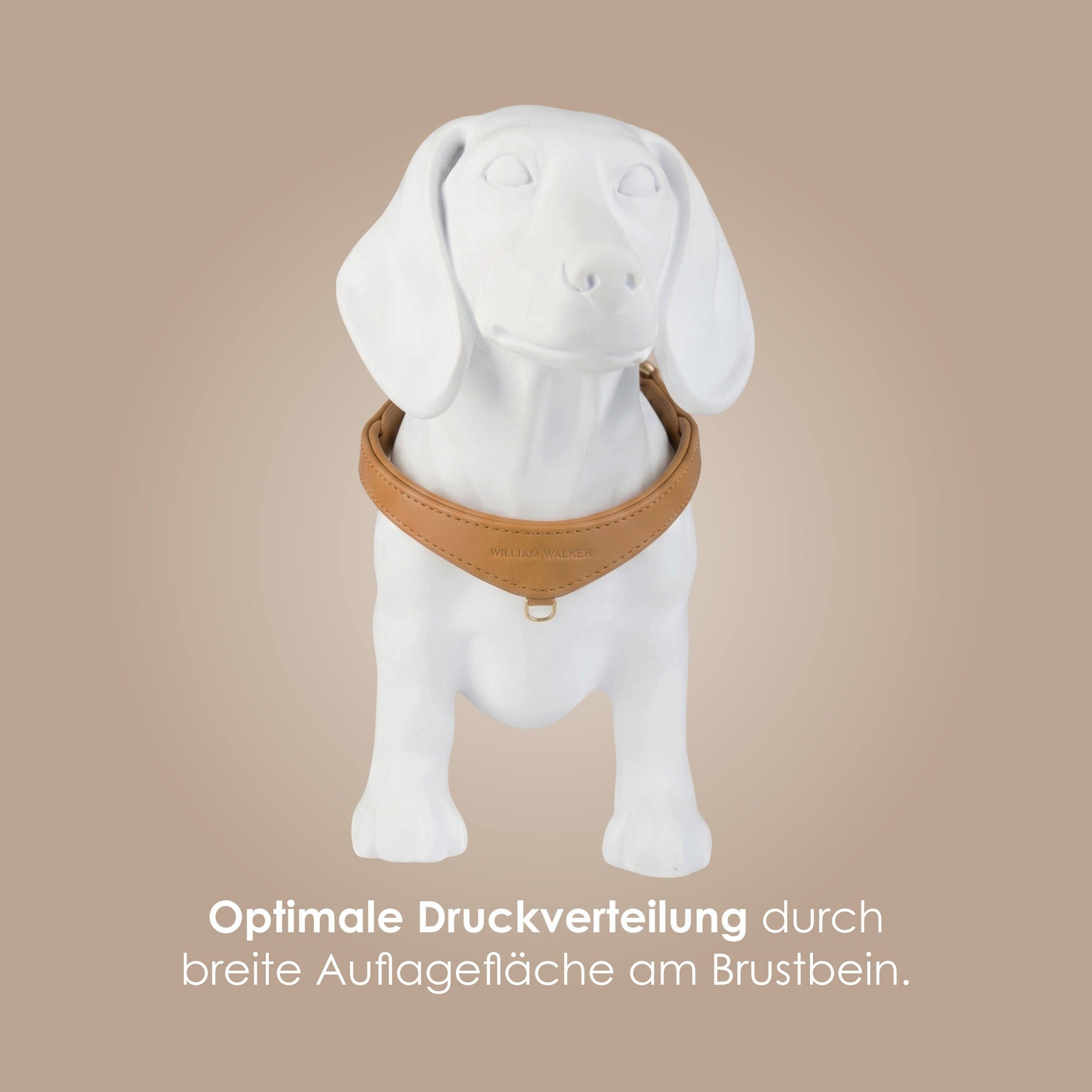 William Walker Step-In Leder Geschirr Pico für kleine Hunde