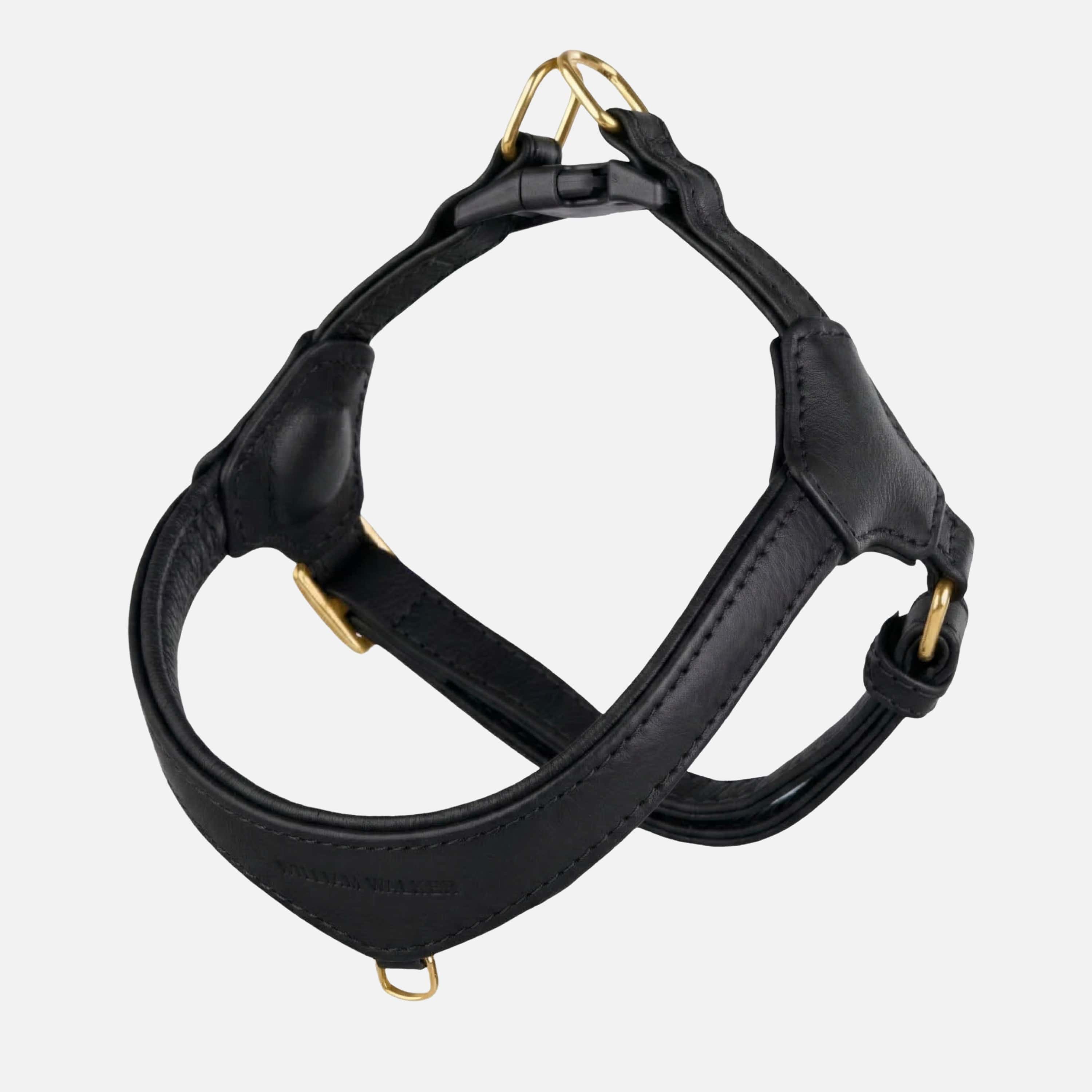 William Walker Step-In Leder Geschirr Pico für kleine Hunde Noir (schwarz) / 1