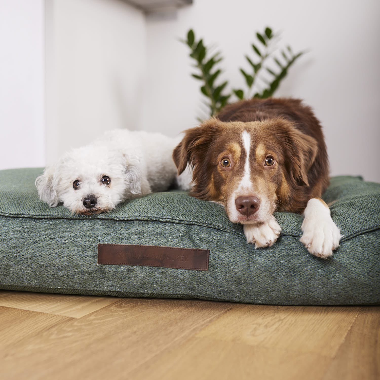 William Walker Hundekissen Chill Dark Moss